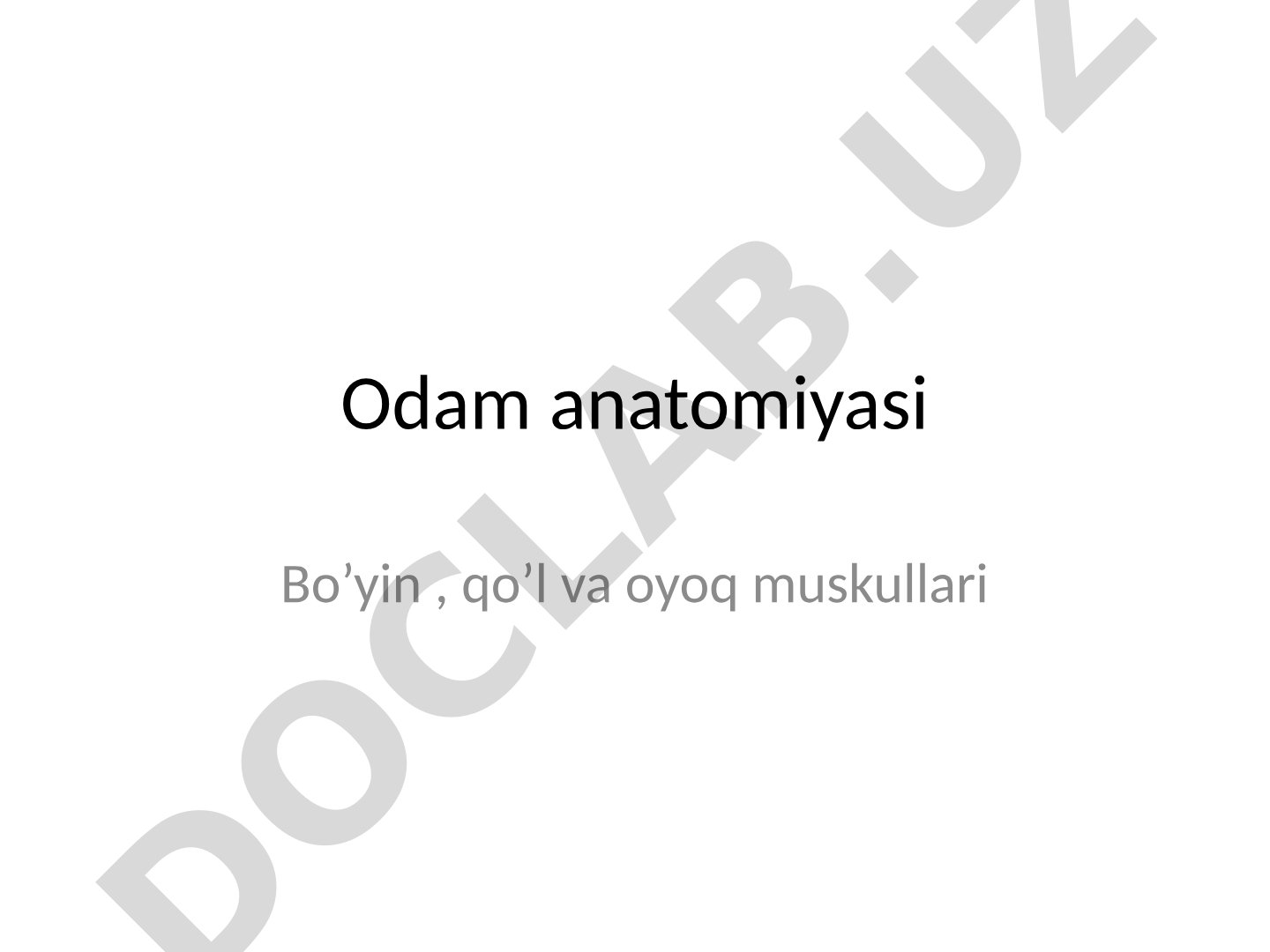 Bo'yin muskullari anatomiyasi