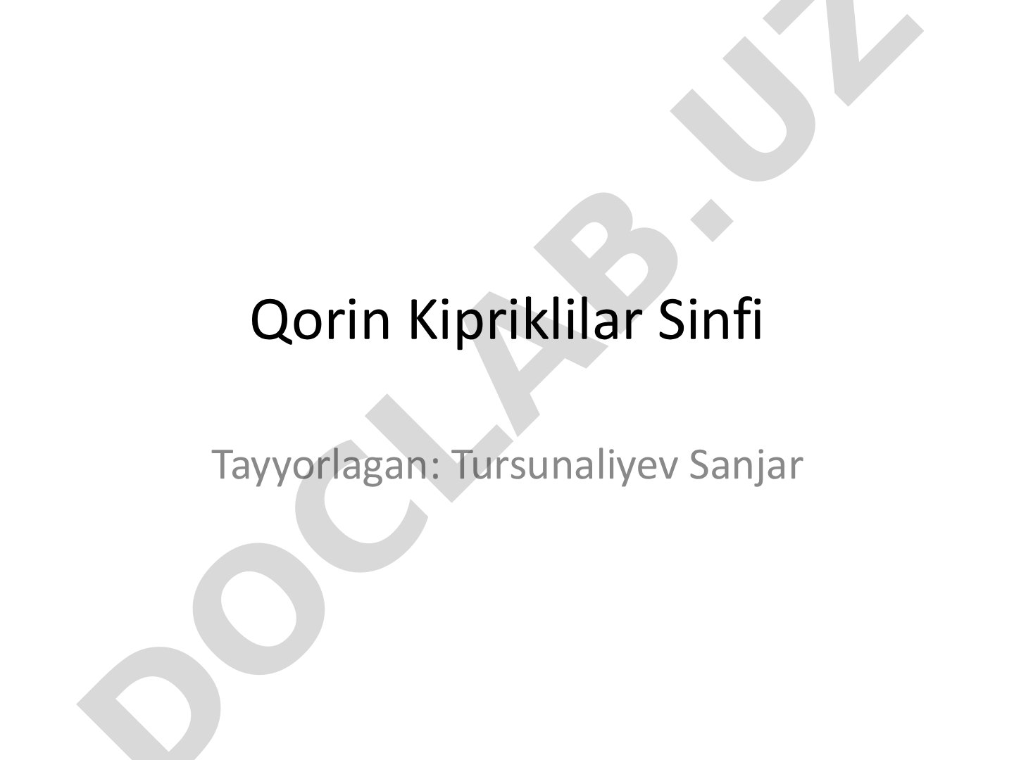 Qorin kipriklilar sinfi
