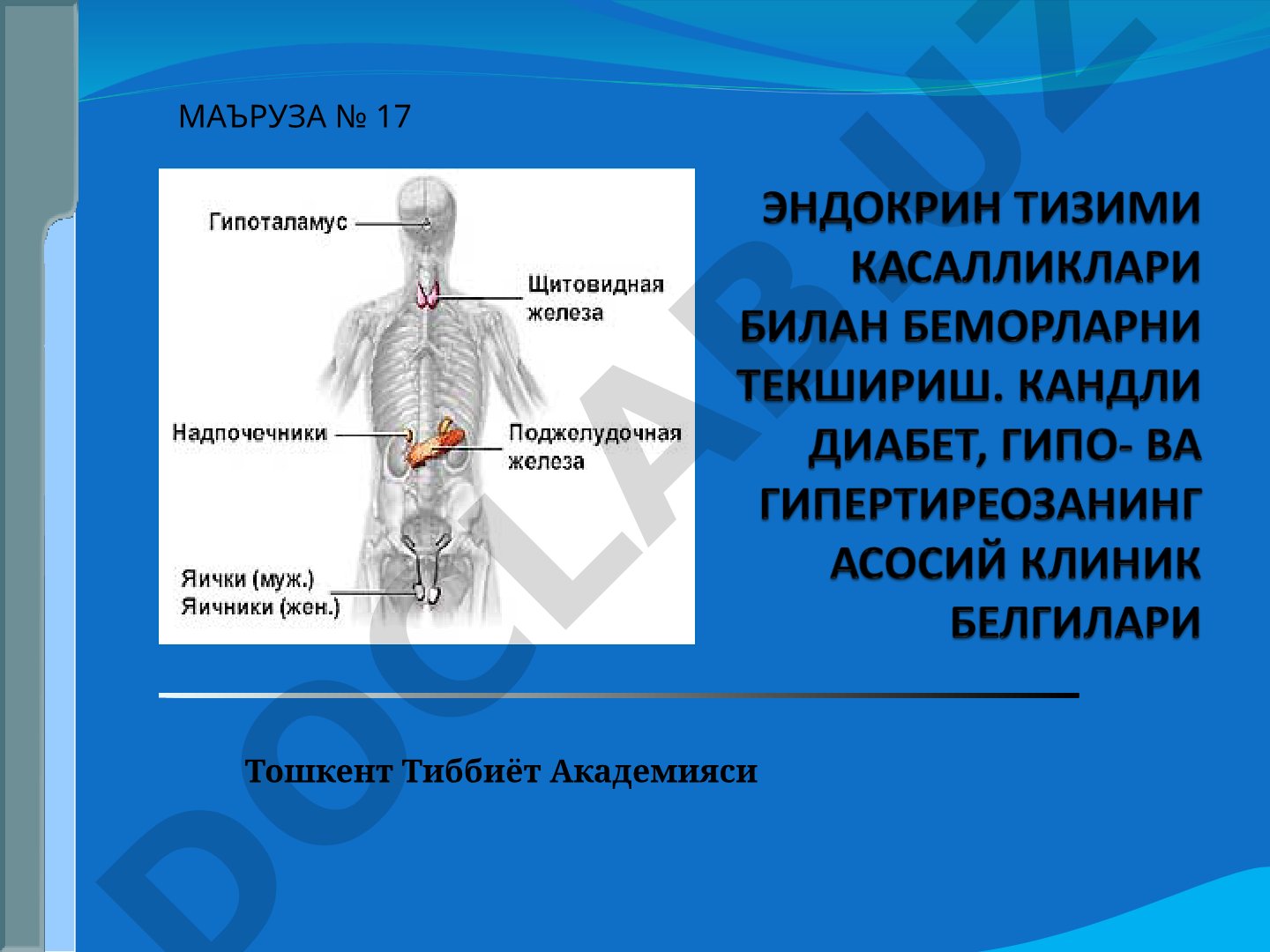 Ички секреция безлари (эндокрин безлар) гормонлари