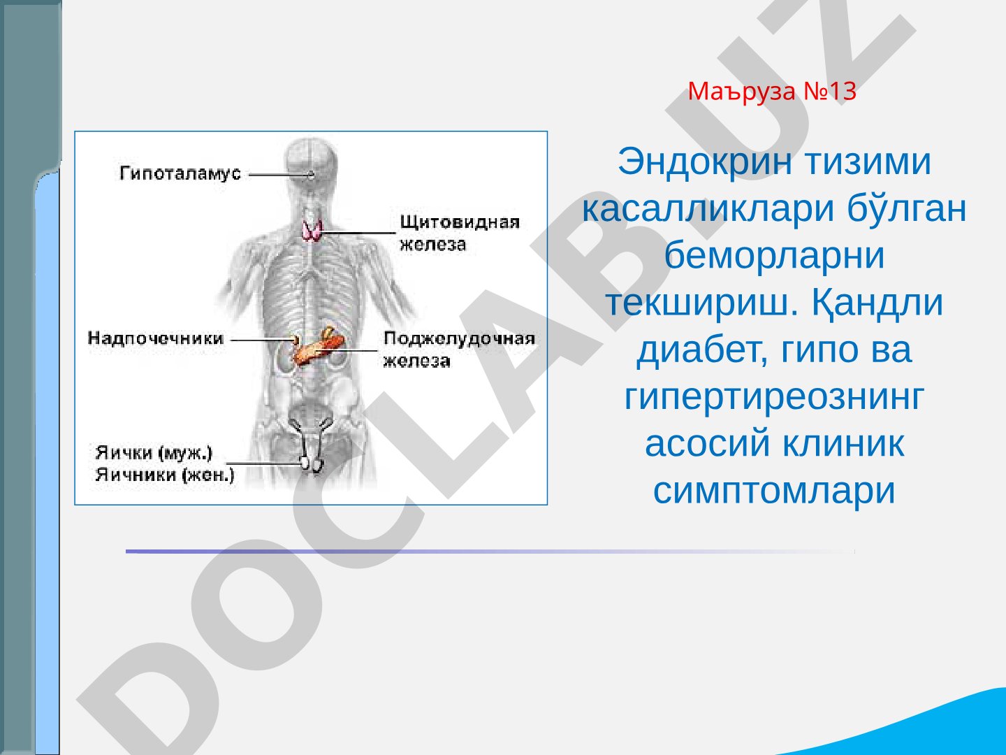 Эндокрин тизими касалликлари: клиник симптомлар ва текшириш