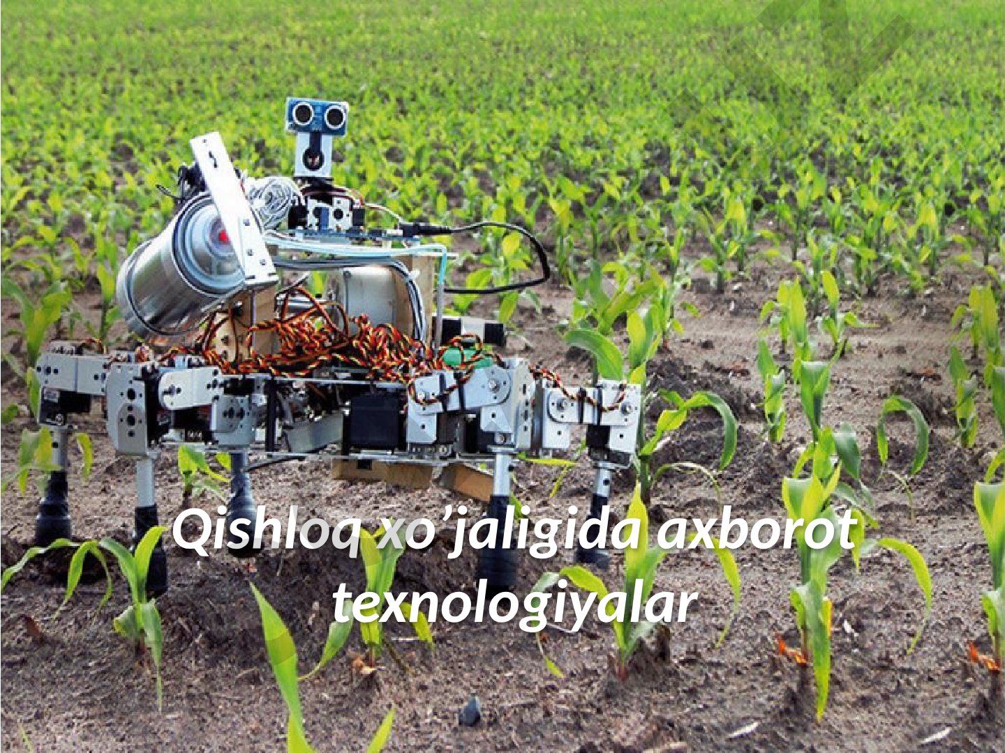 Qishloq xo’jaligida axborot texnologiyalar