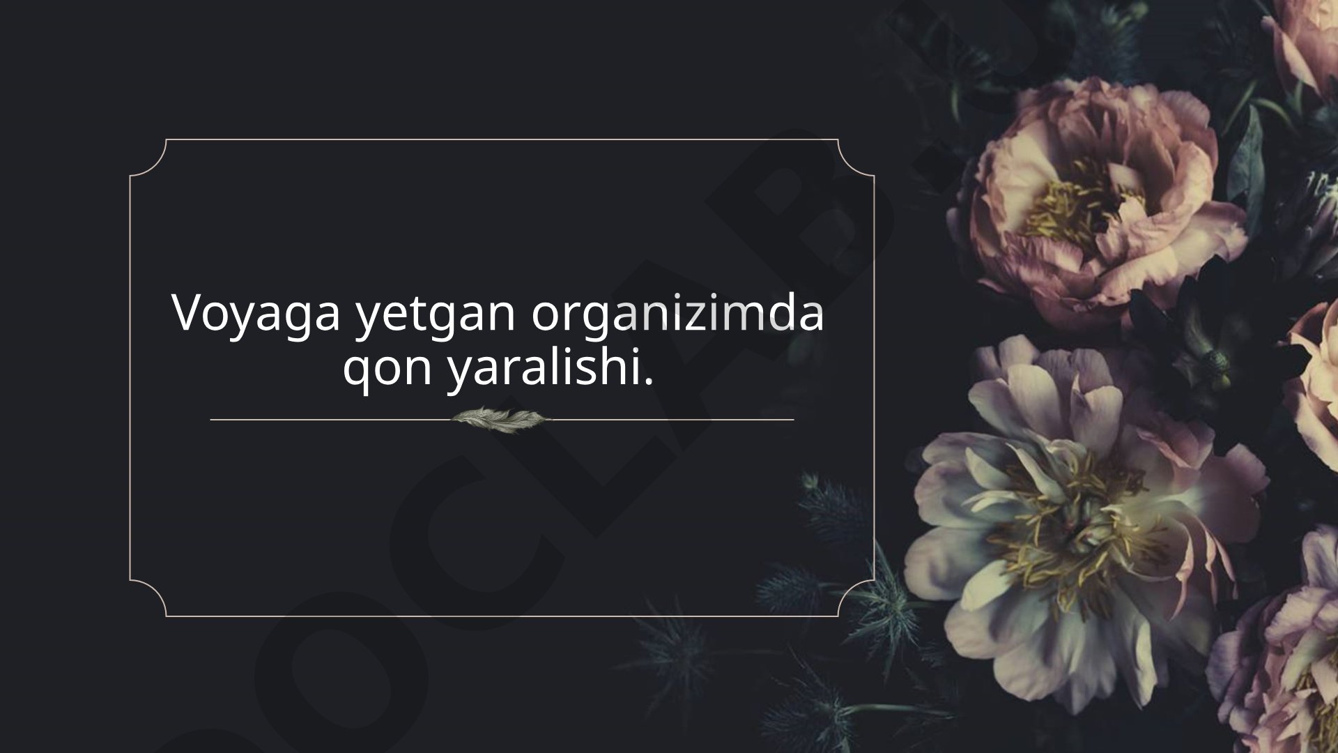 Voyaga yetgan organizimda qon yaralishi