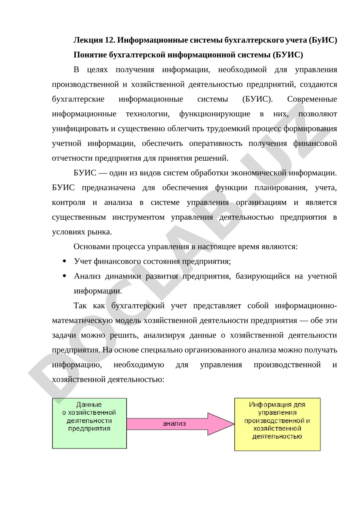 Информационные системы бухгалтерского учета (БуИС)
