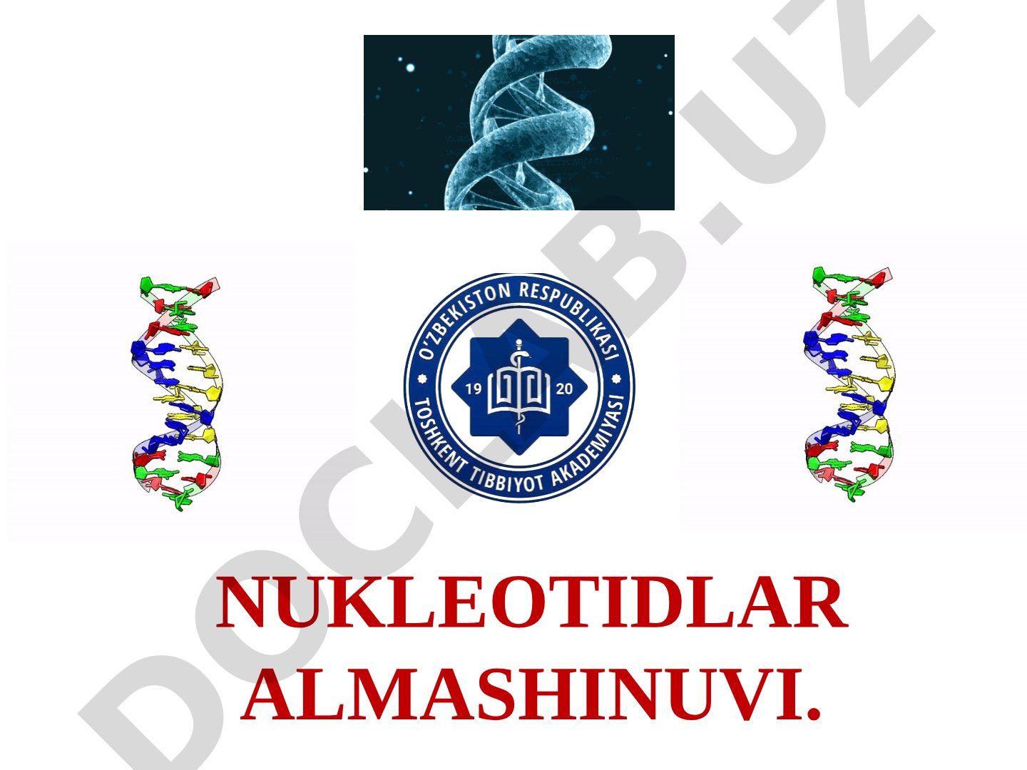 Nukleotidlar almashinuvi