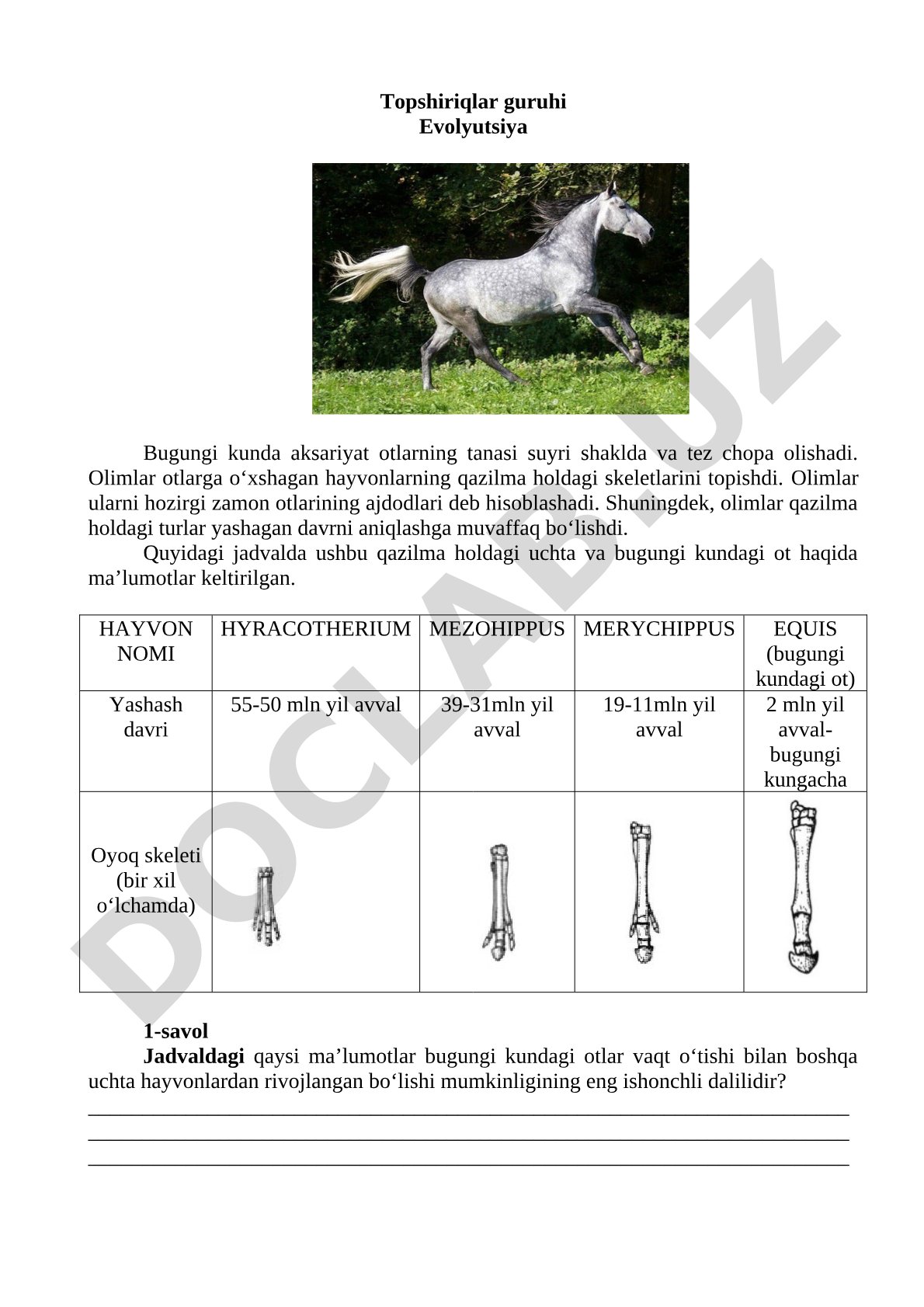 Ot evolyutsiyasi va qazilma ajdodlari