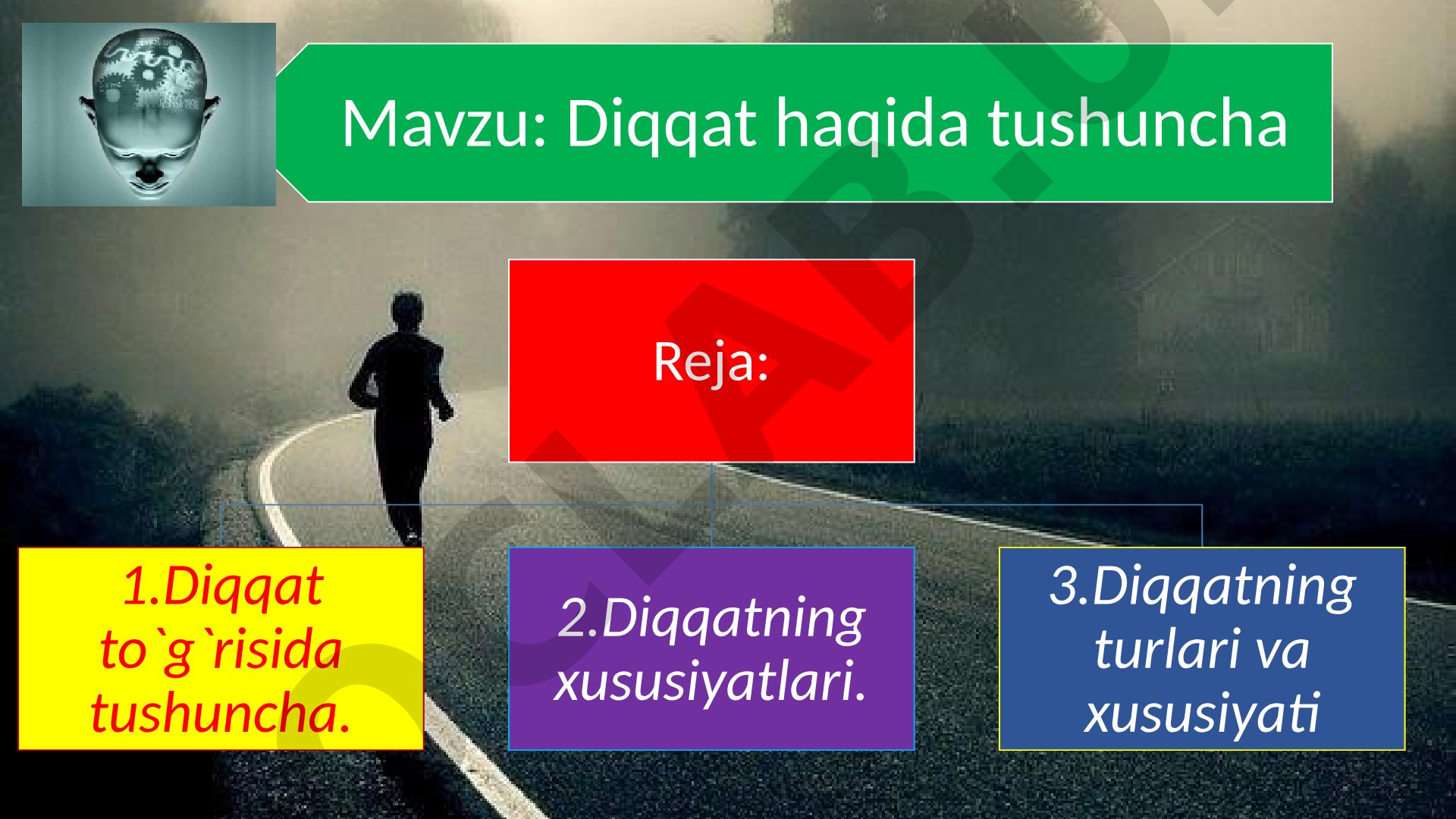 Diqqat haqida tushuncha