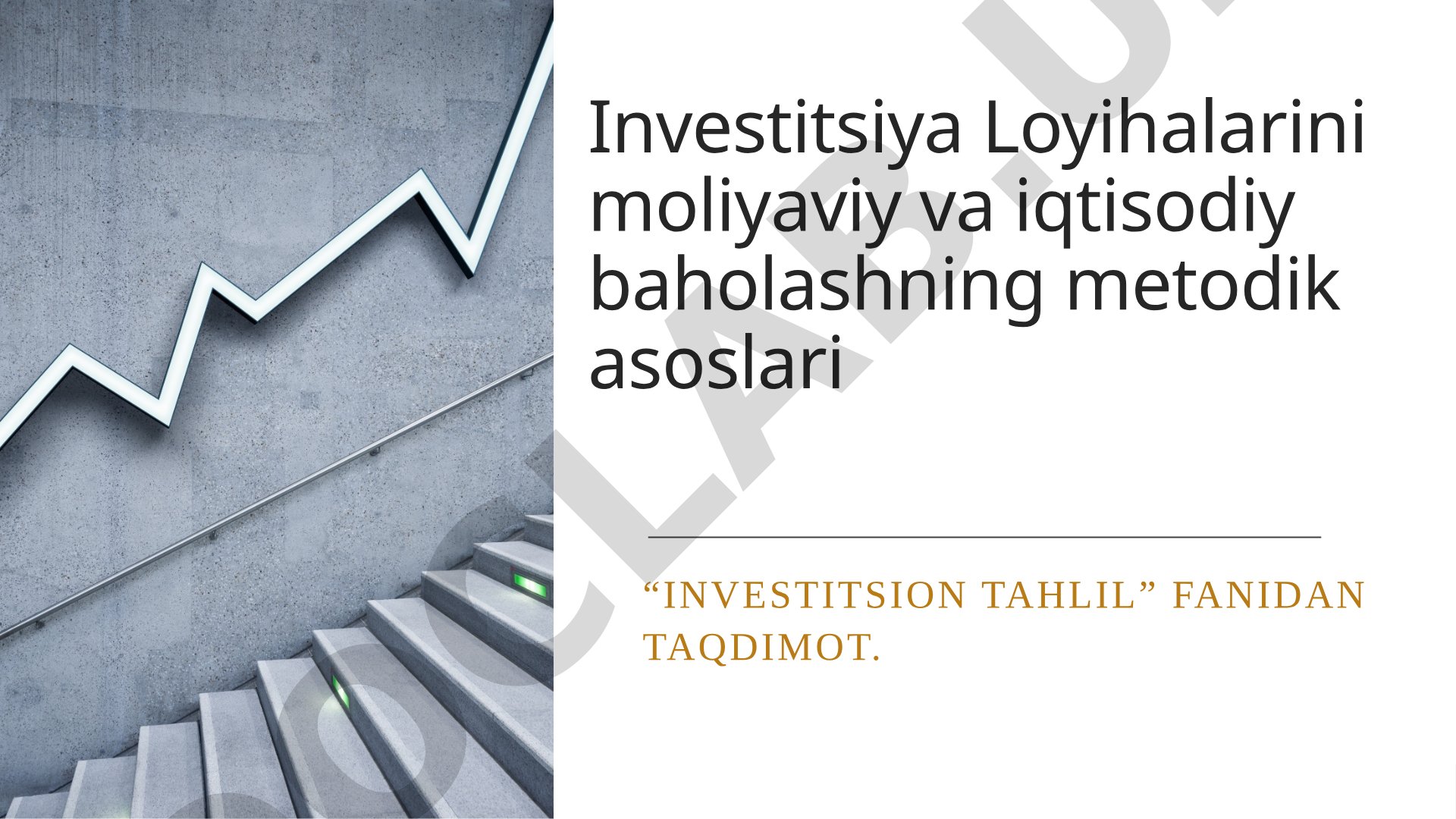 Investitsiya loyihalarini moliyaviy va iqtisodiy baholashning metodik asoslari