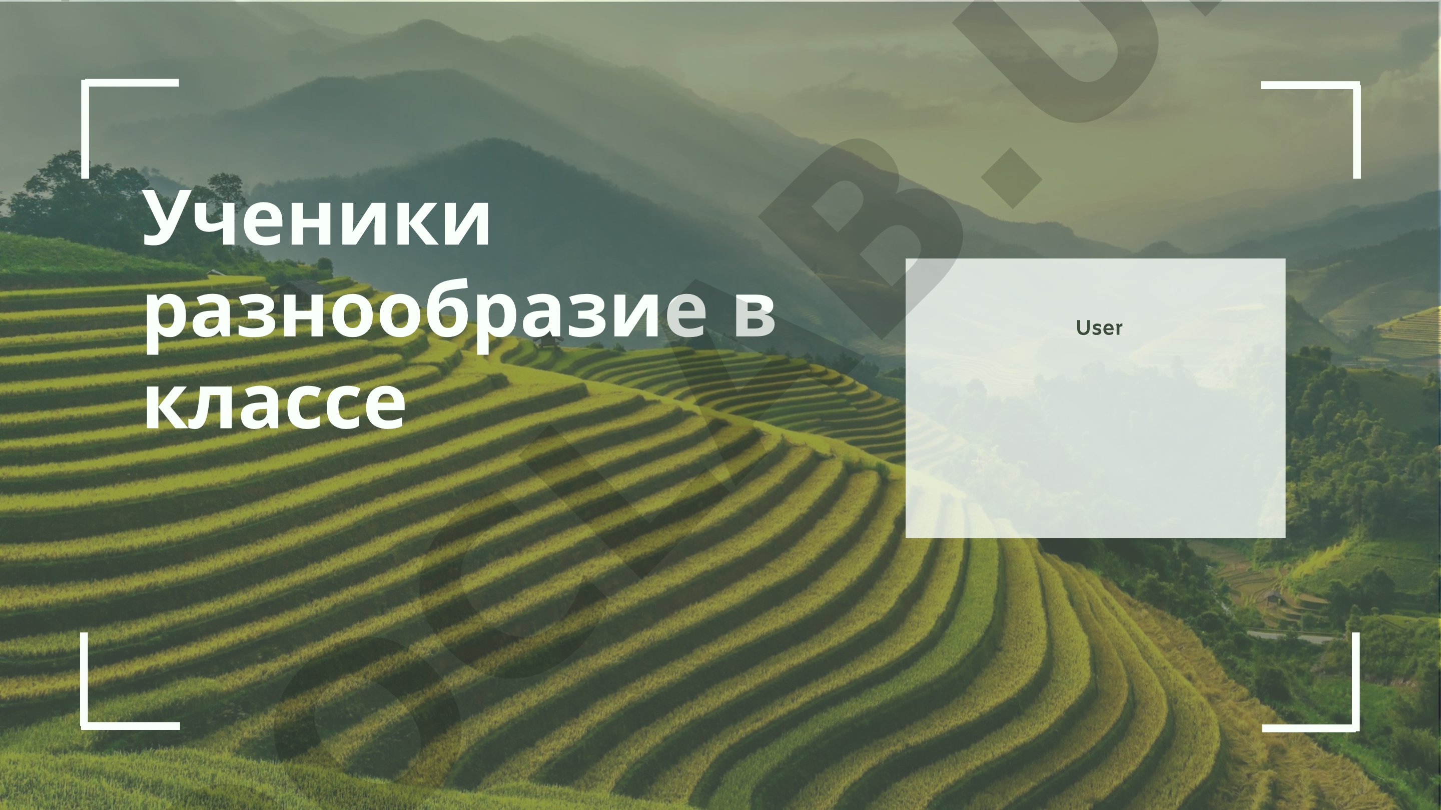 Культурное и личностное разнообразие в классе
