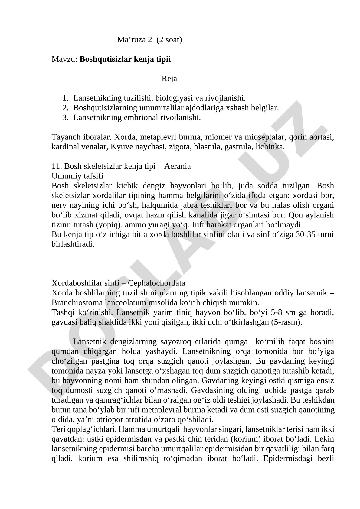 Boshqutisizlar kenja tipii
