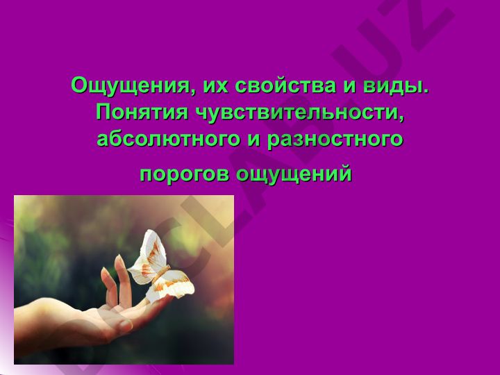 Ощущения, их свойства и виды. Понятия чувствительности, абсолютного и разностного порогов ощущений