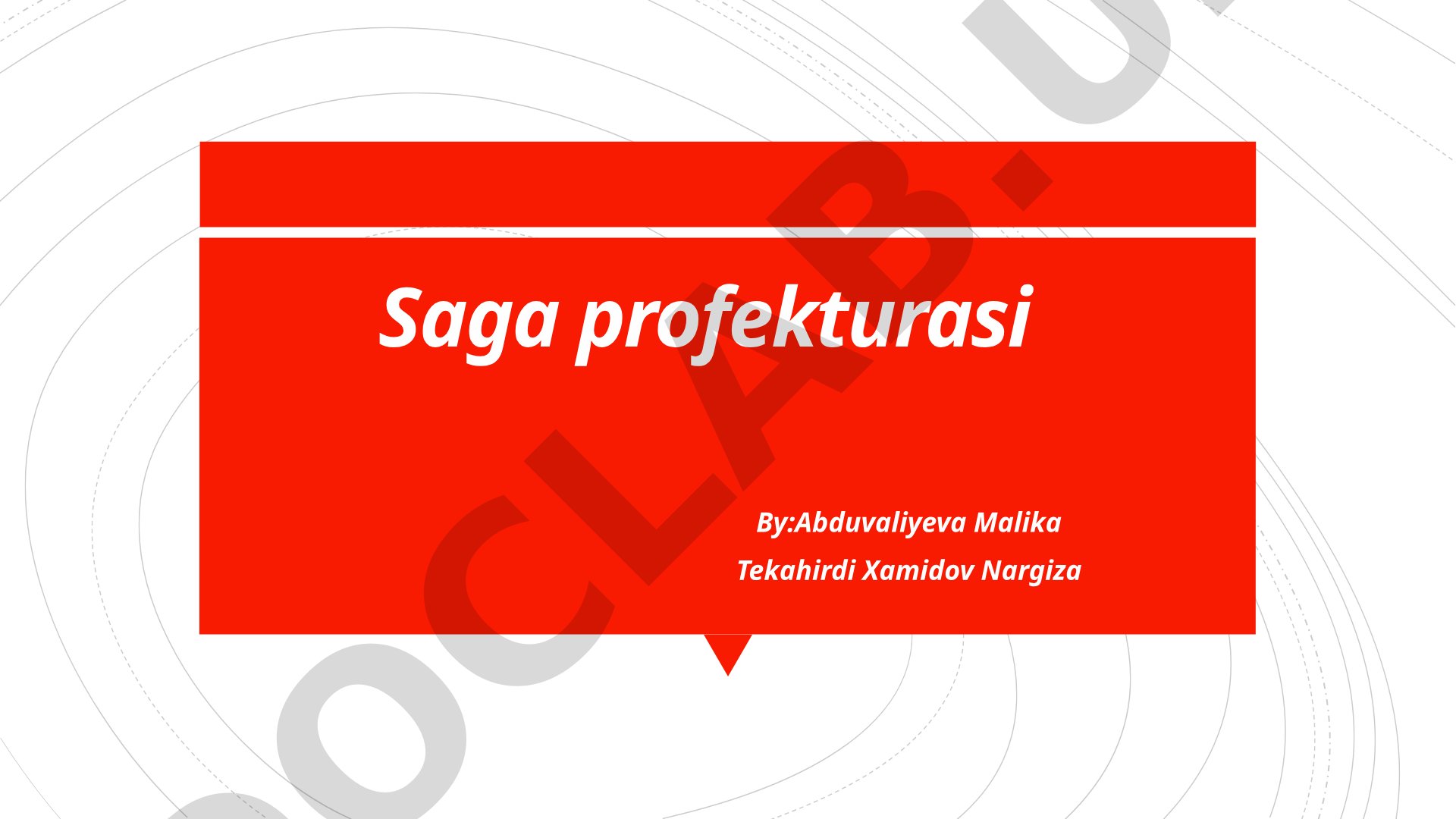 Saga profekturasi