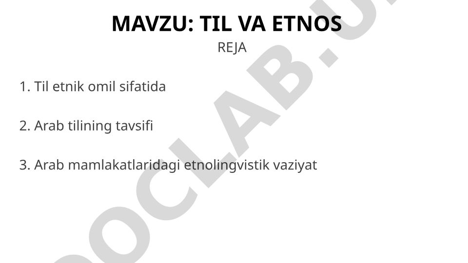 Til va etnos reja: Arab tili va etnolingvistik vaziyat