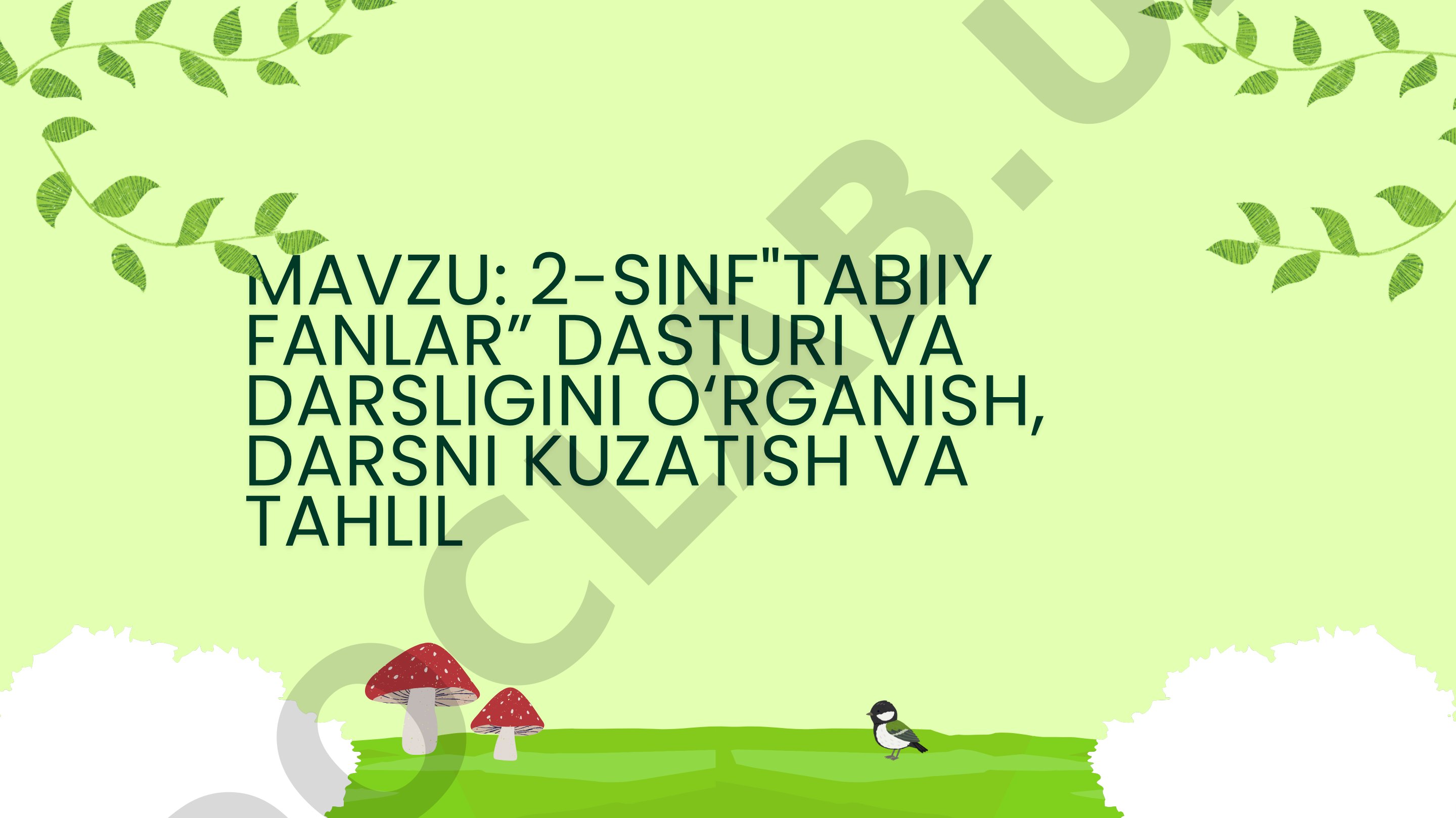 2-SINF"TABIIY FANLAR" DASTURI VA DARSLIGINI O‘RGANISH, DARSNI KUZATISH VA TAHLIL