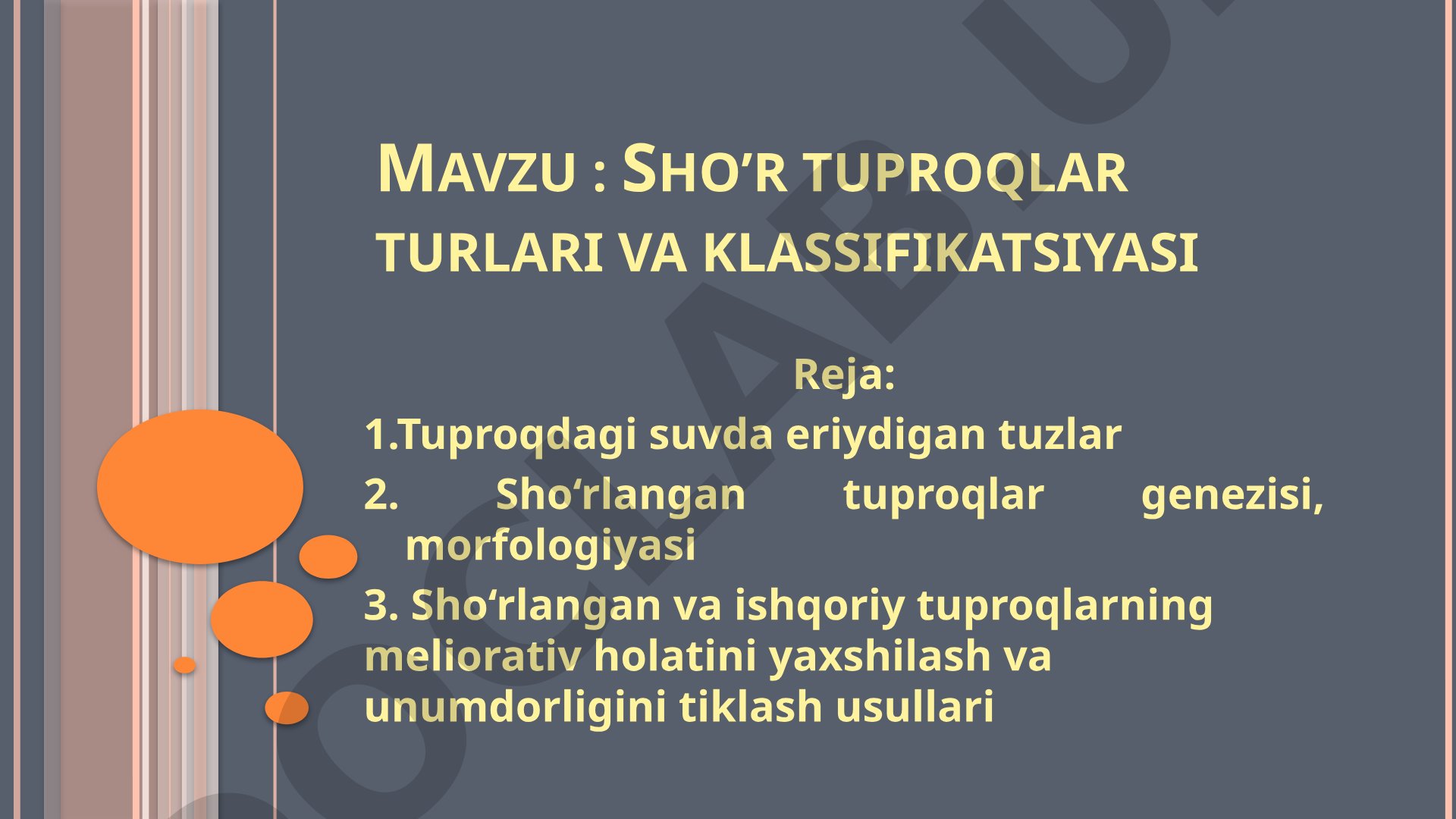Sho‘r tuproqlar turlari va klassifikatsiyasi