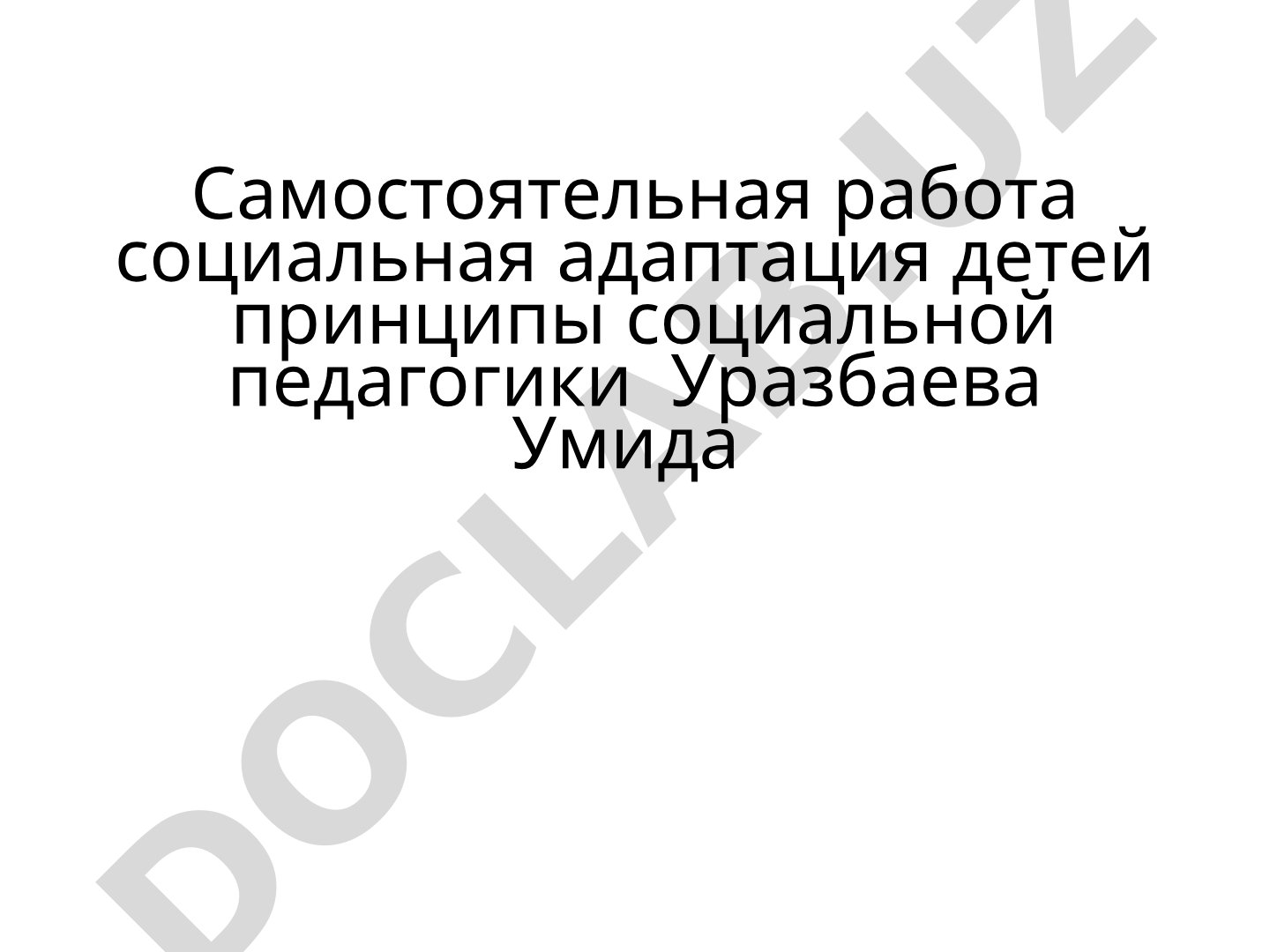 Социальная адаптация детей: принципы социальной педагогики
