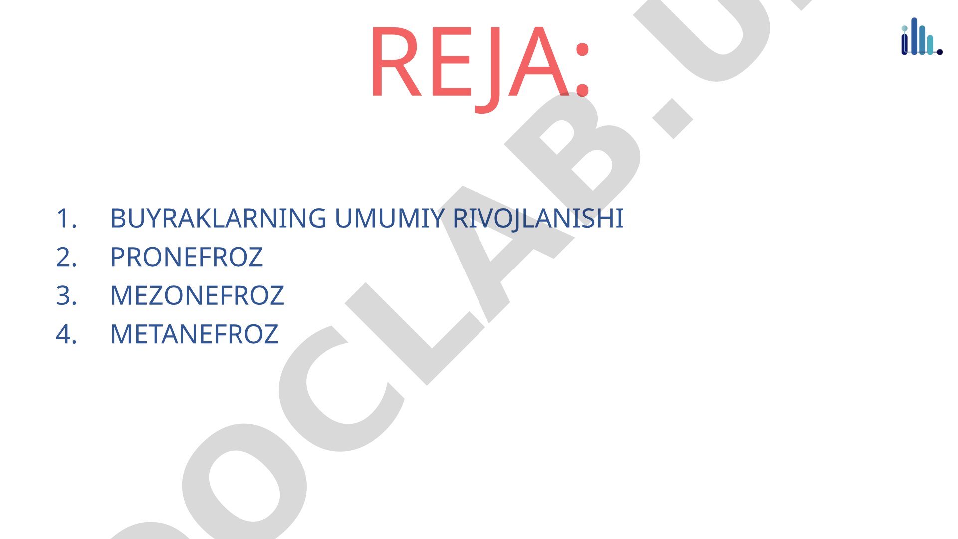 Buyraklarning umumiy rivojlanishi