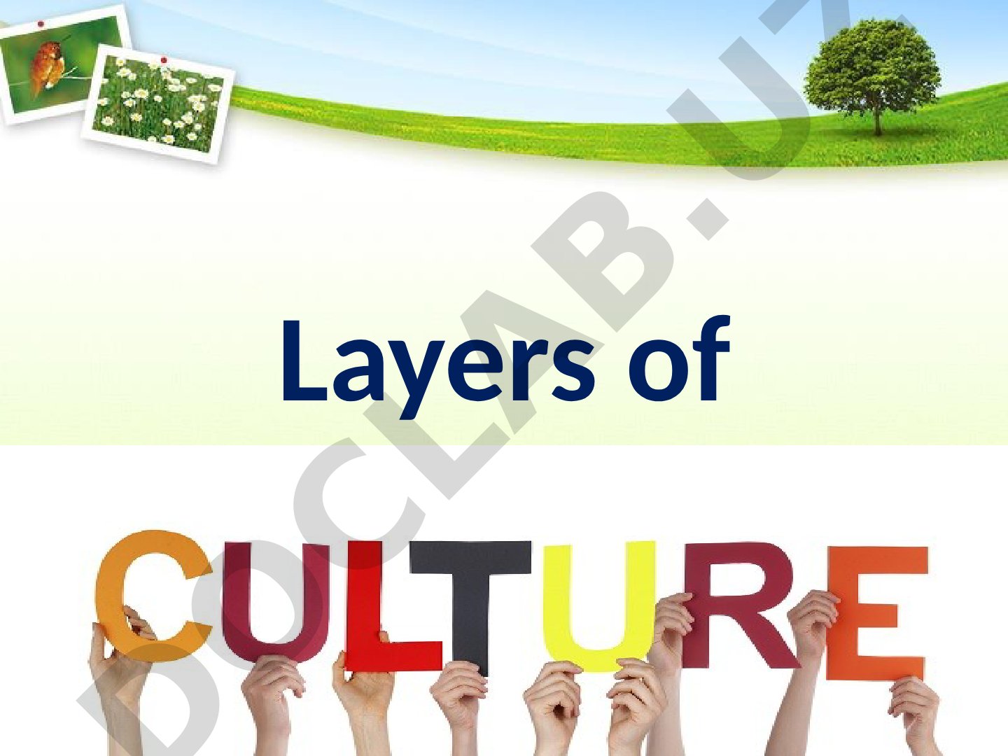 Layers of Culture: Material and Social Culture