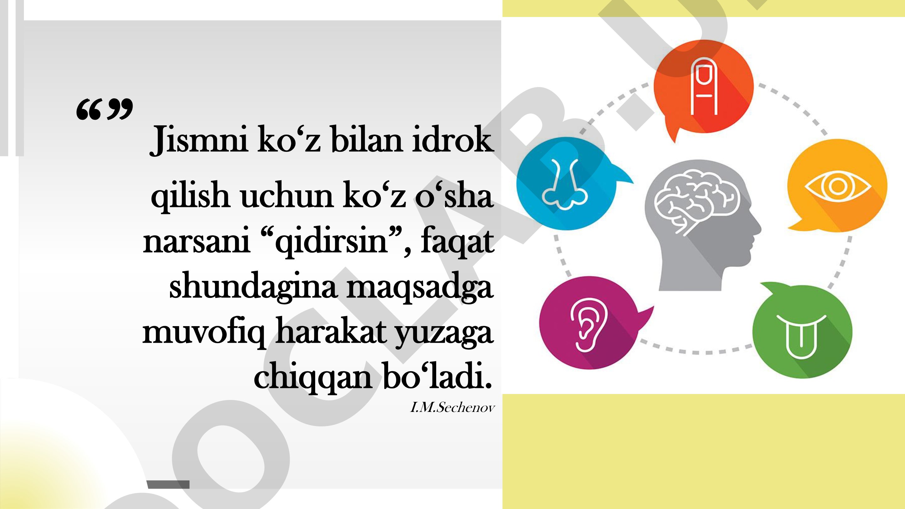 Umumiy psixologiya: Sezgi haqida tushuncha