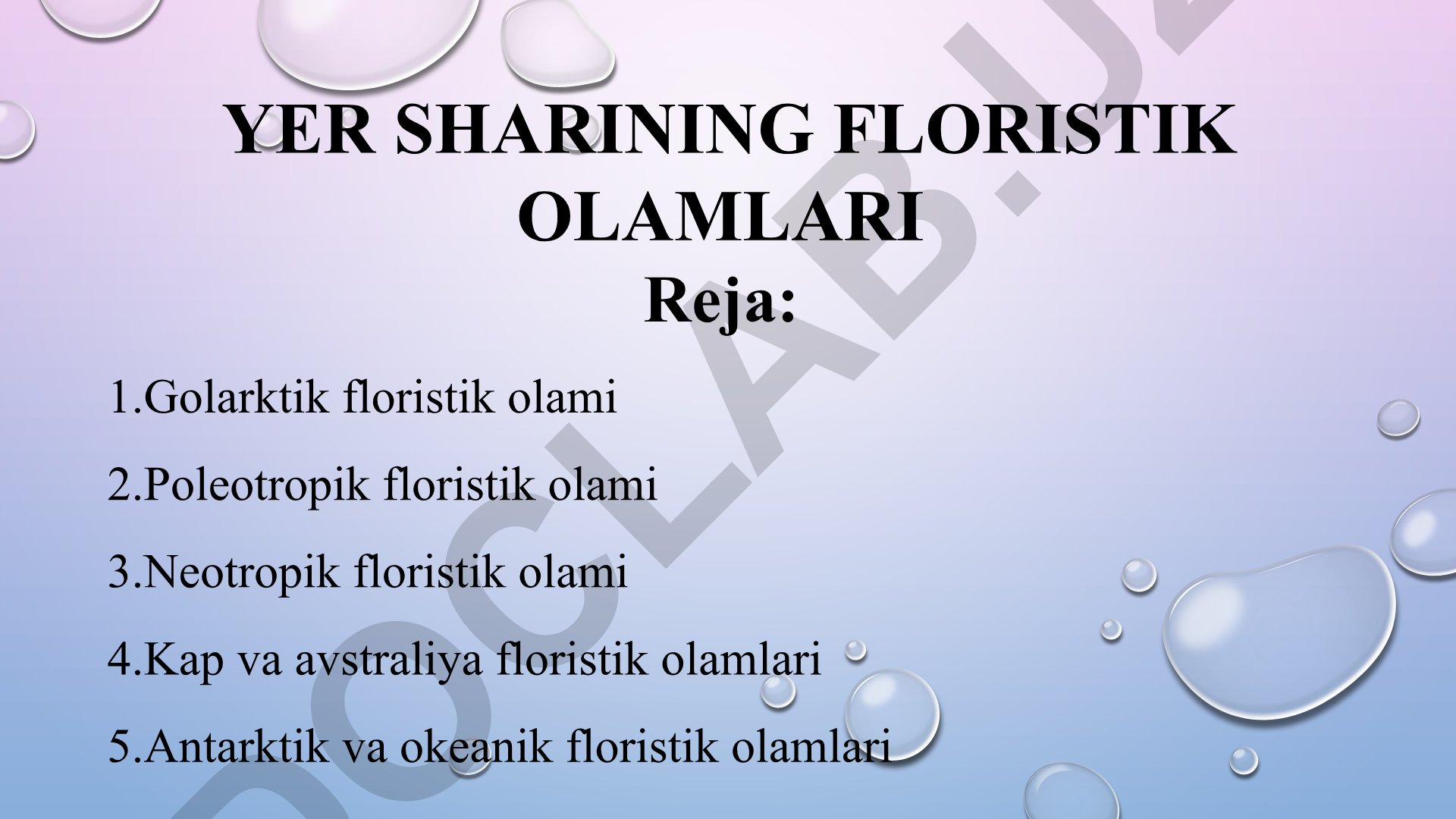 Yer sharining floristik olamlari