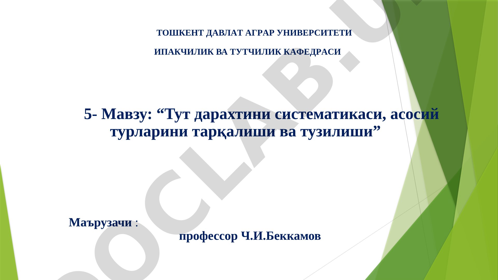 Тут дарахтини систематикаси, асосий турларини тарқалиши ва тузилиши