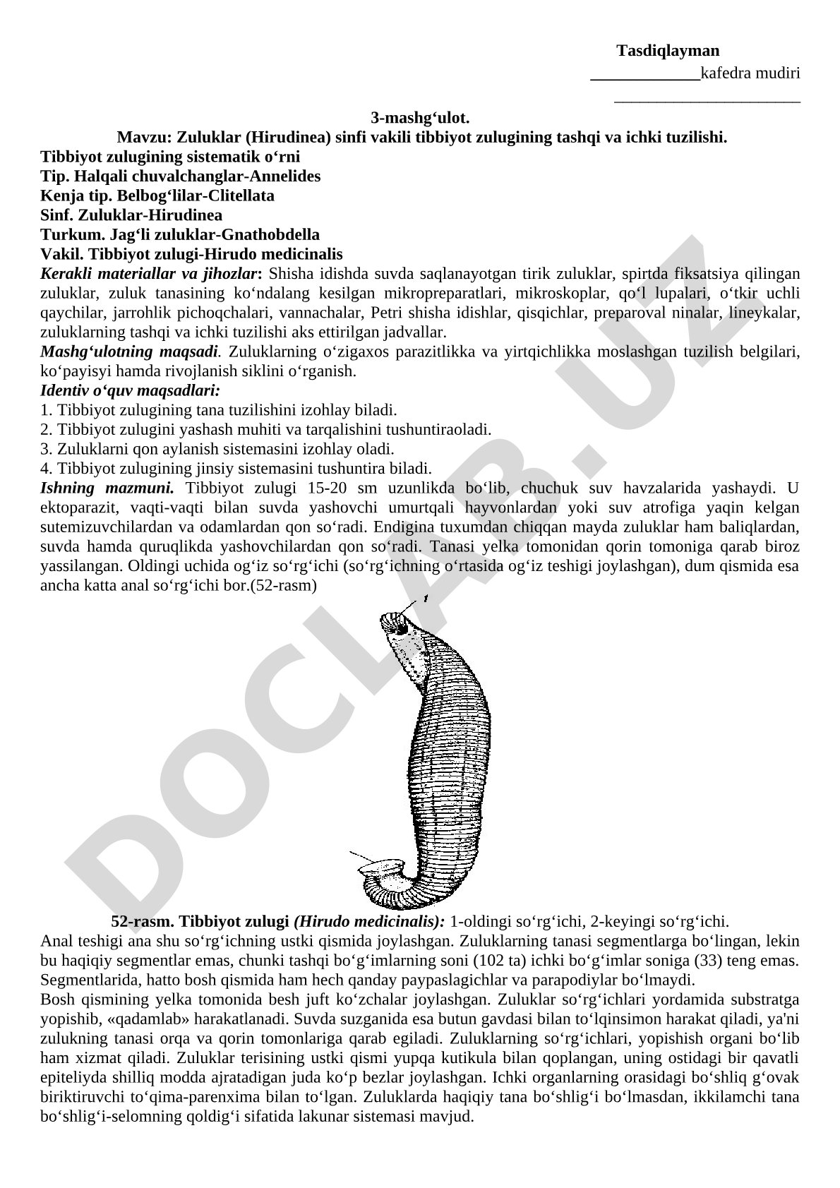 Zuluklar (Hirudinea) sinfi vakili tibbiyot zulugining tashqi va ichki tuzilishi