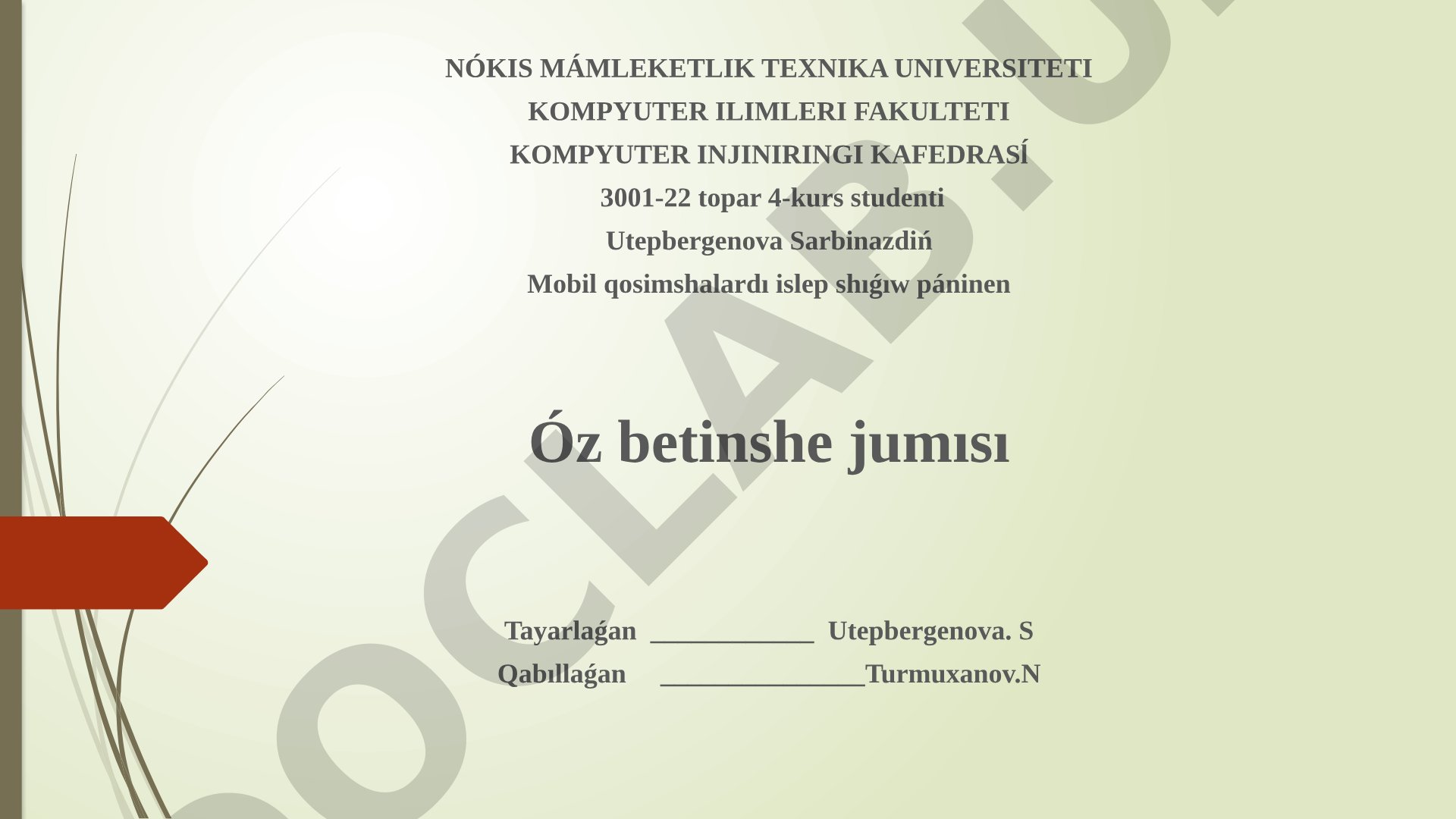 Mobil qosimshalarda tarmaqli programmalastiriw