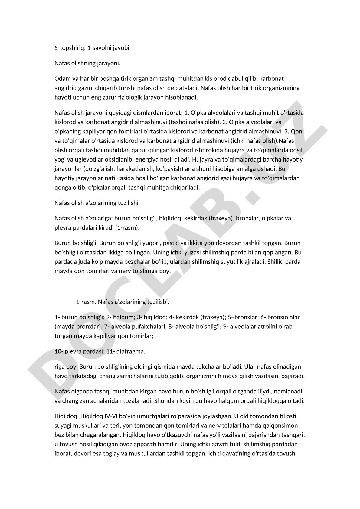Nafas olish jarayoni va nafas a'zolarining tuzilishi yoritilgan