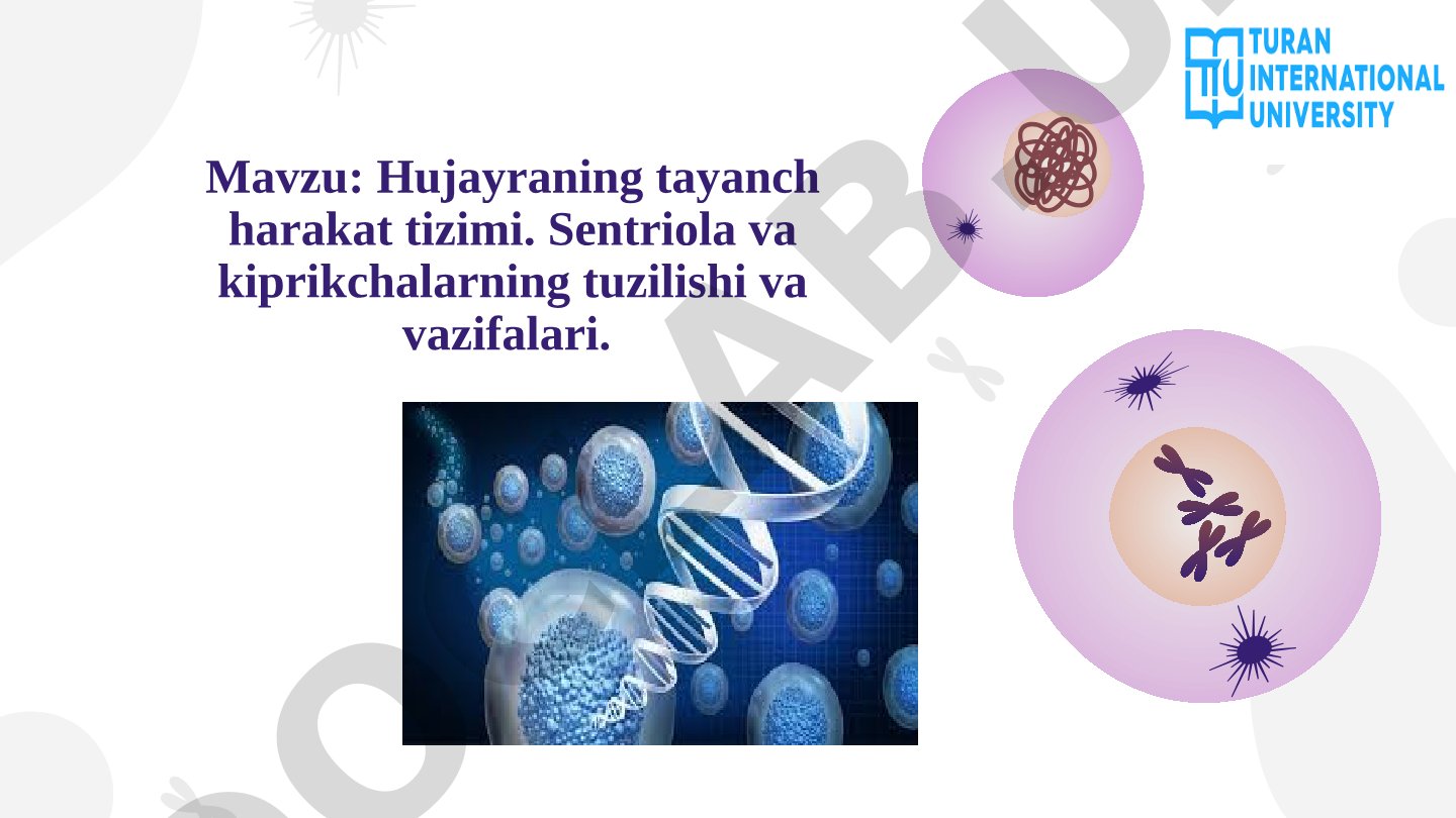 Hujayraning tayanch harakat tizimi. Sentriola va kiprikchalarning tuzilishi va vazifalari.