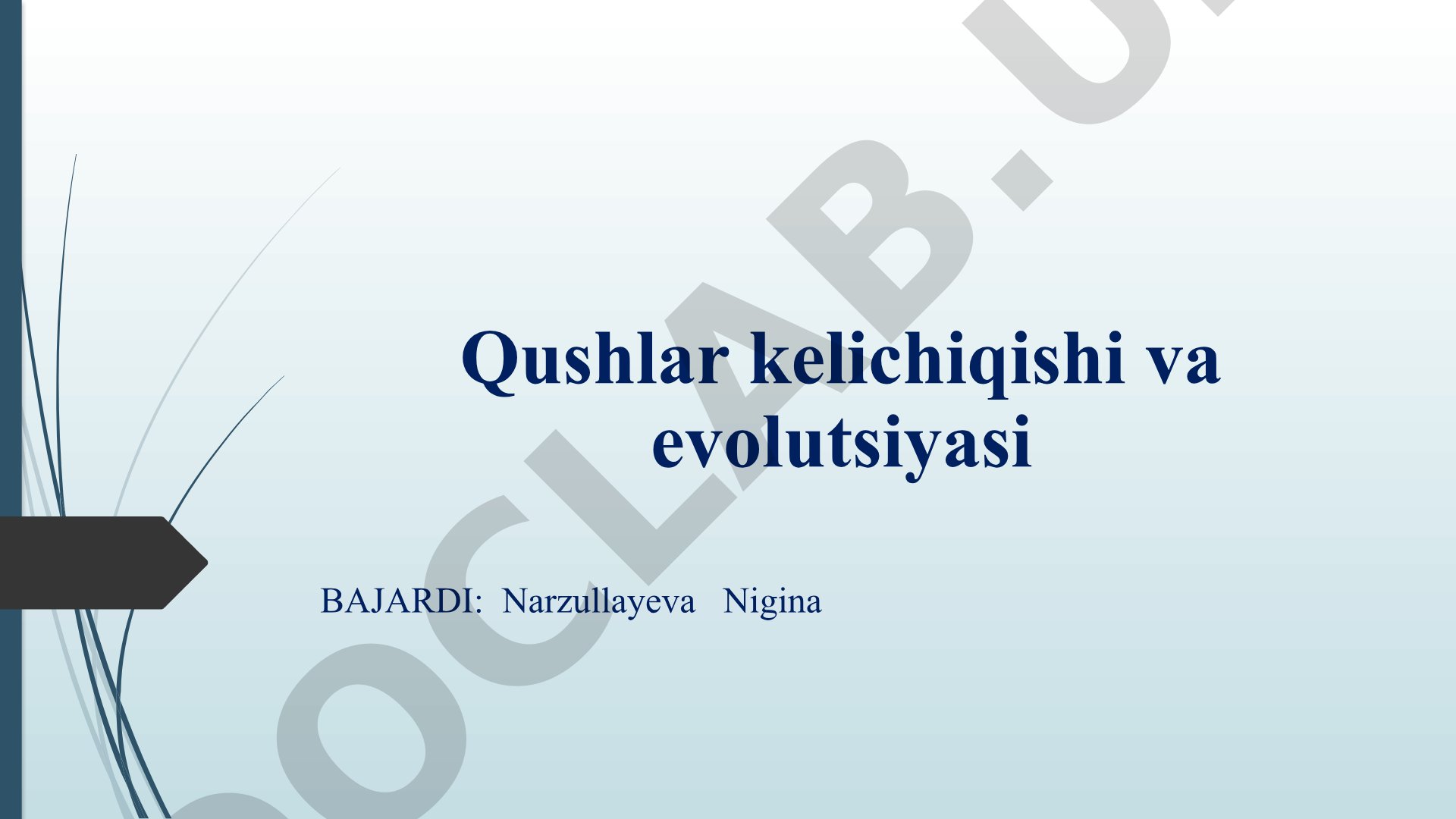 Qushlarning kelib chiqishi va evolyutsiyasi