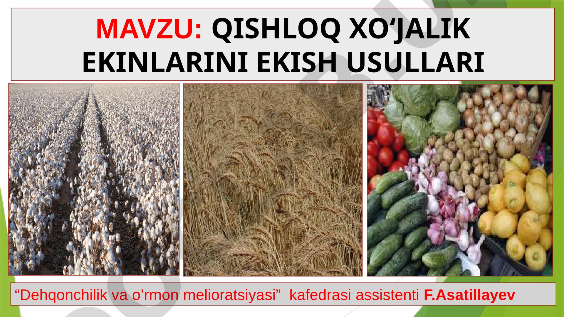 Qishloq xo‘jalik ekinlarini ekish usullari