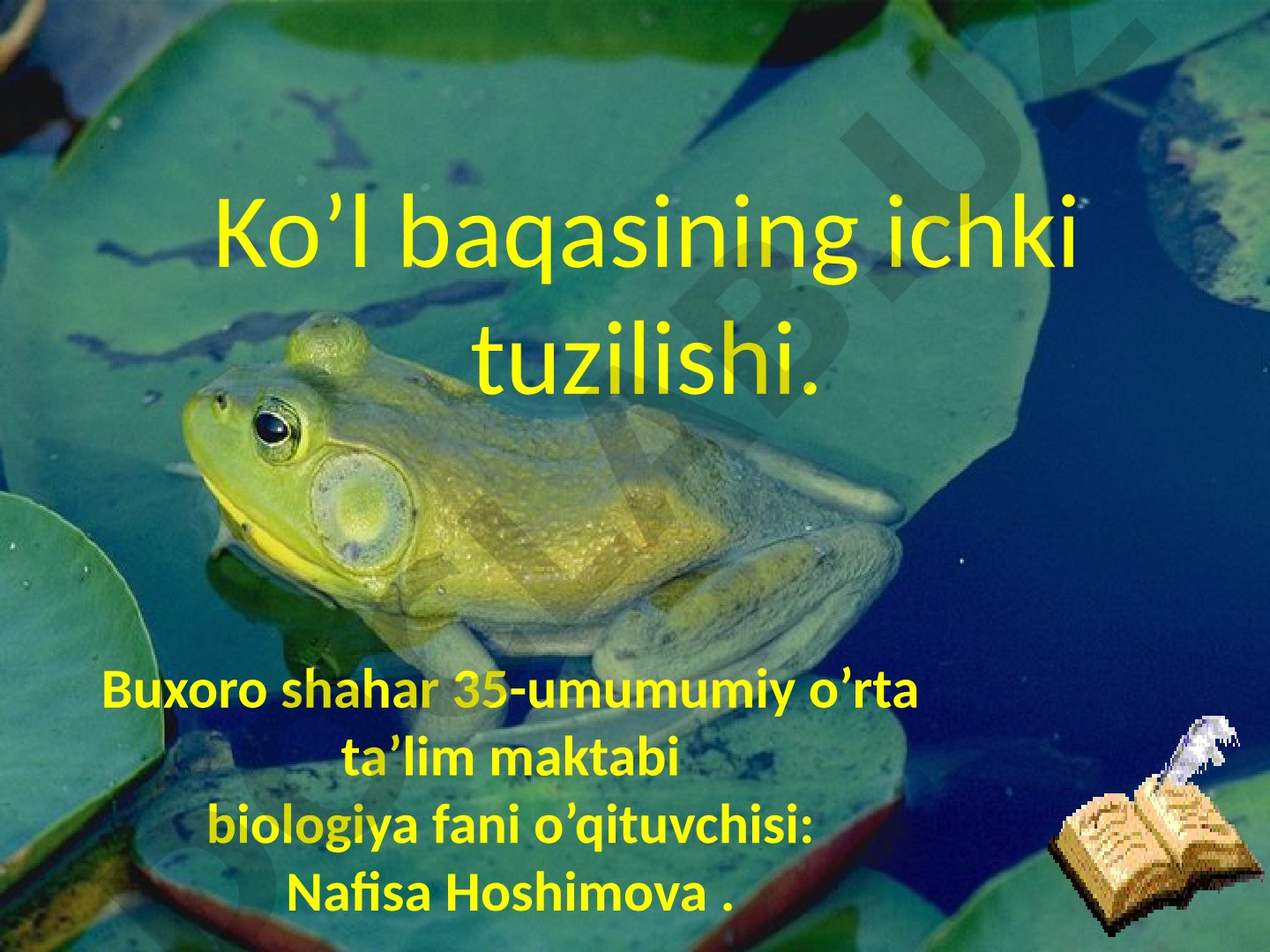 Ko'l baqasining ichki tuzilishi