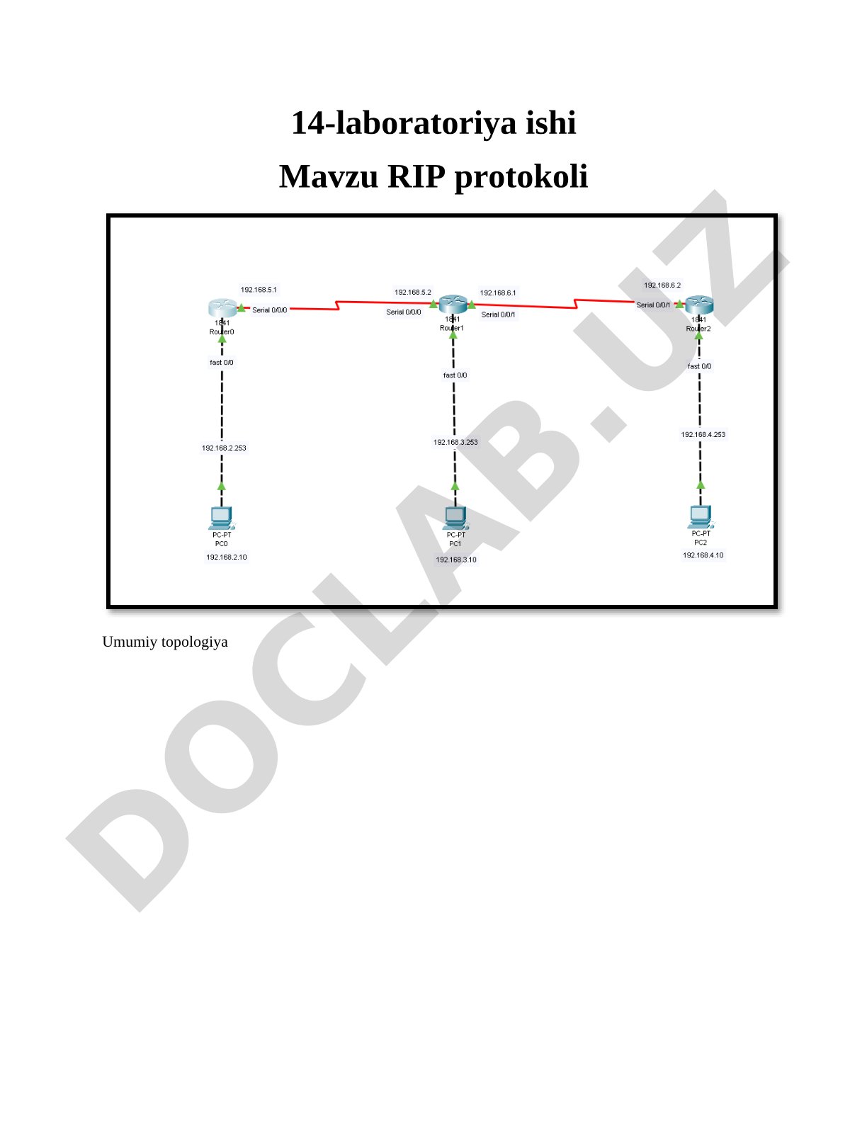 RIP protokoli