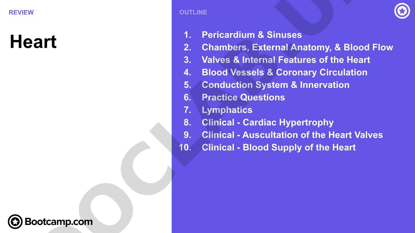 Heart Anatomy: Pericardium and Sinuses