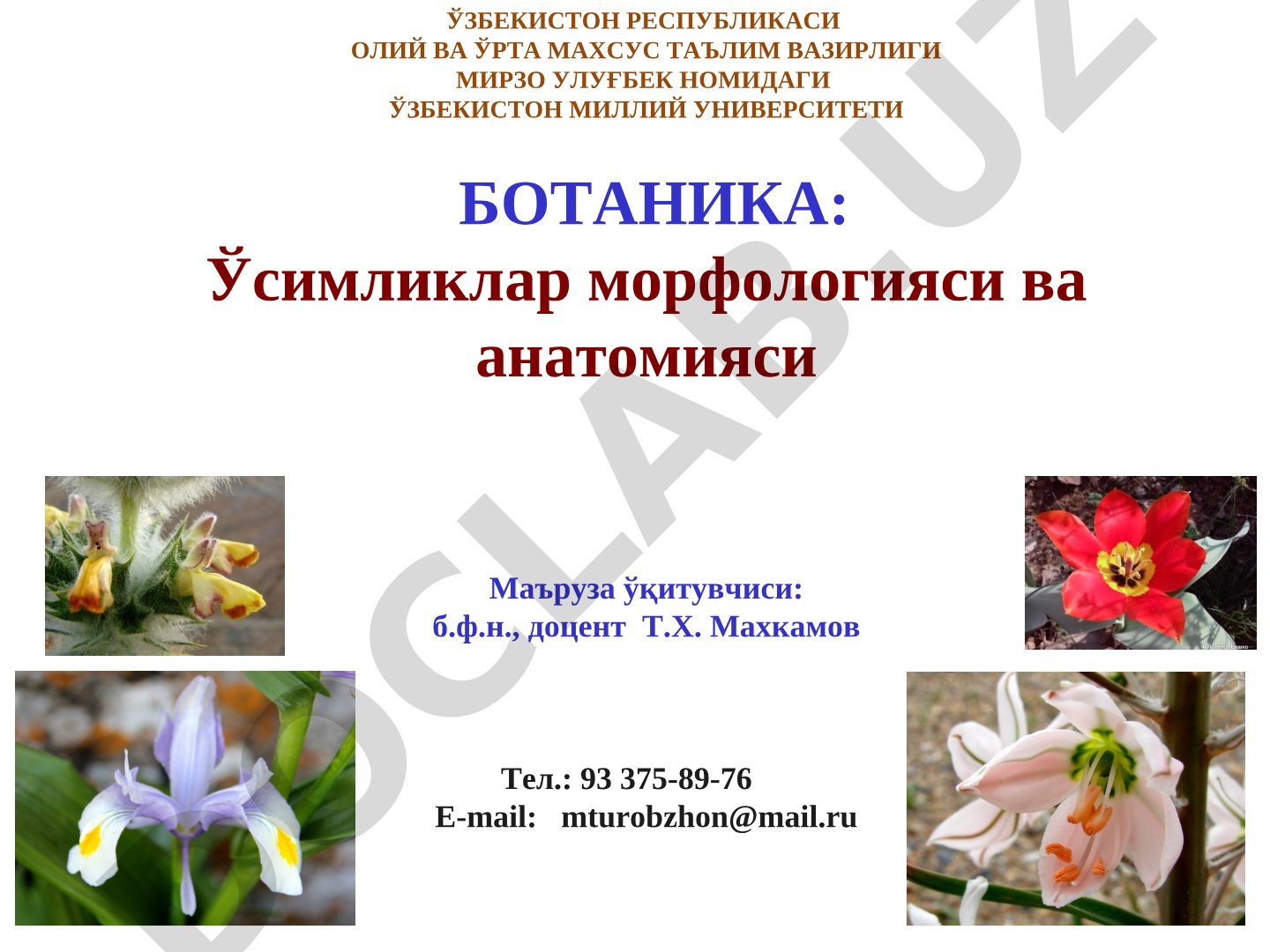 Ботаника: Ўсимликлар морфологияси ва анатомияси
