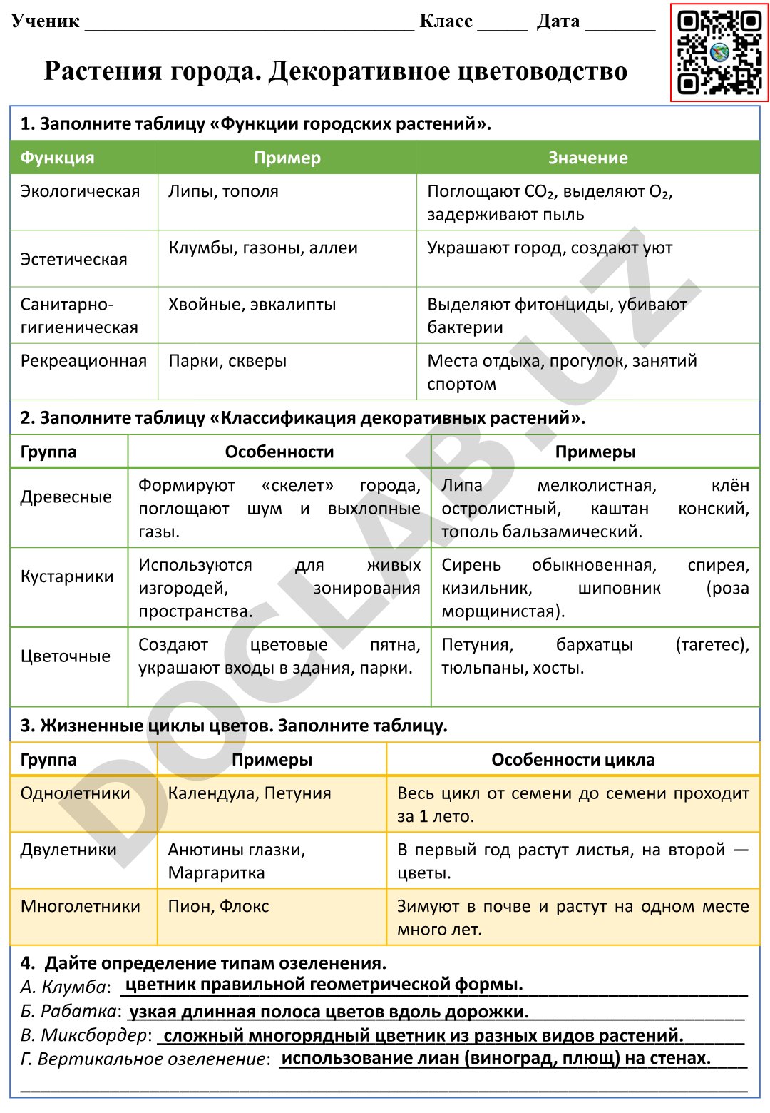 Растения города. Декоративное цветоводство