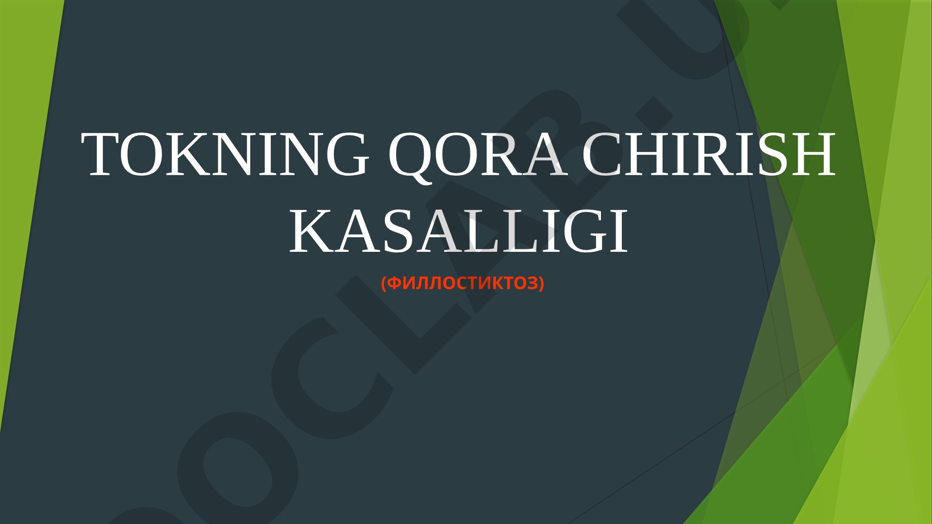 Tokning qora chirish kasalligi (fillostiktoz)
