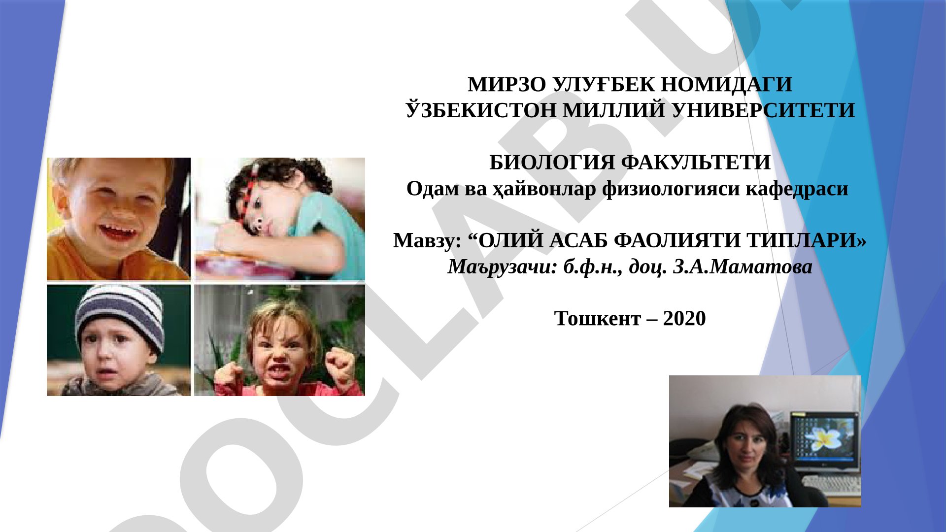 Олий асаб фаолияти типлари