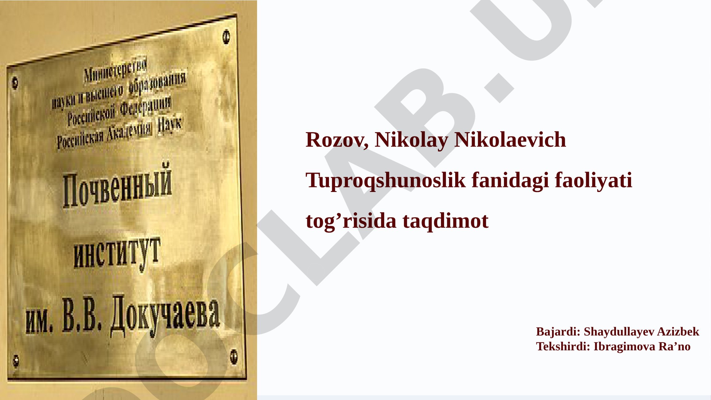 Rozov, Nikolay Nikolaevich tuproqshunoslik fanidagi faoliyati
