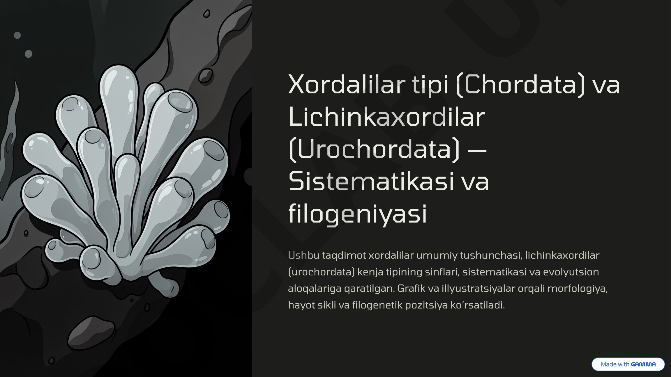 Xordalilar tipi (Chordata) va Lichinkaxordilar (Urochordata) — Sistematikasi va filogeniyasi
