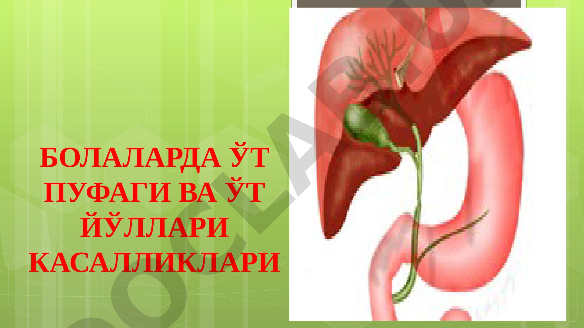 Болаларда Ўт пуфаги ва Ўт Йўллари касалликлари