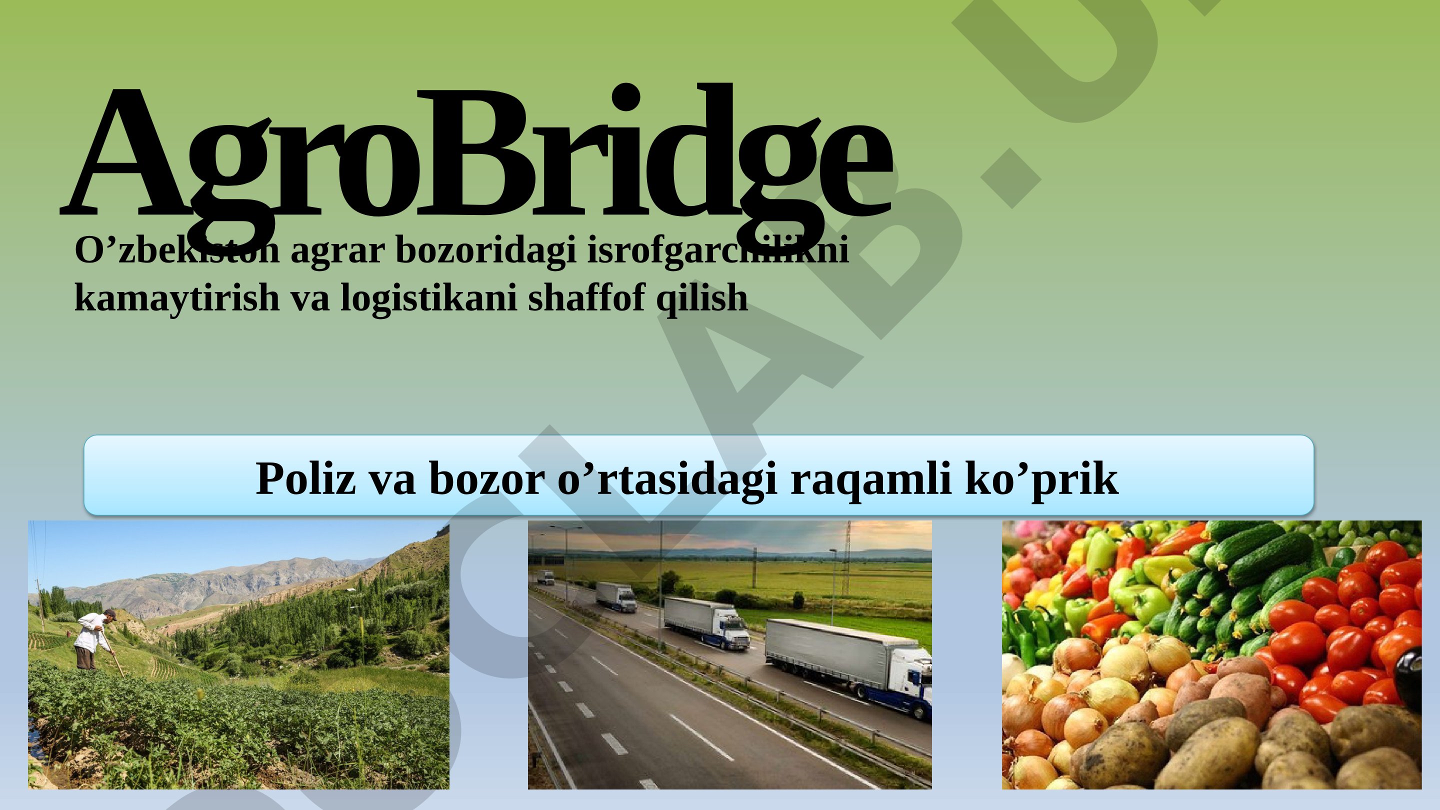 AgroBridge Poliz va bozor o’rtasidagi raqamli ko’prik