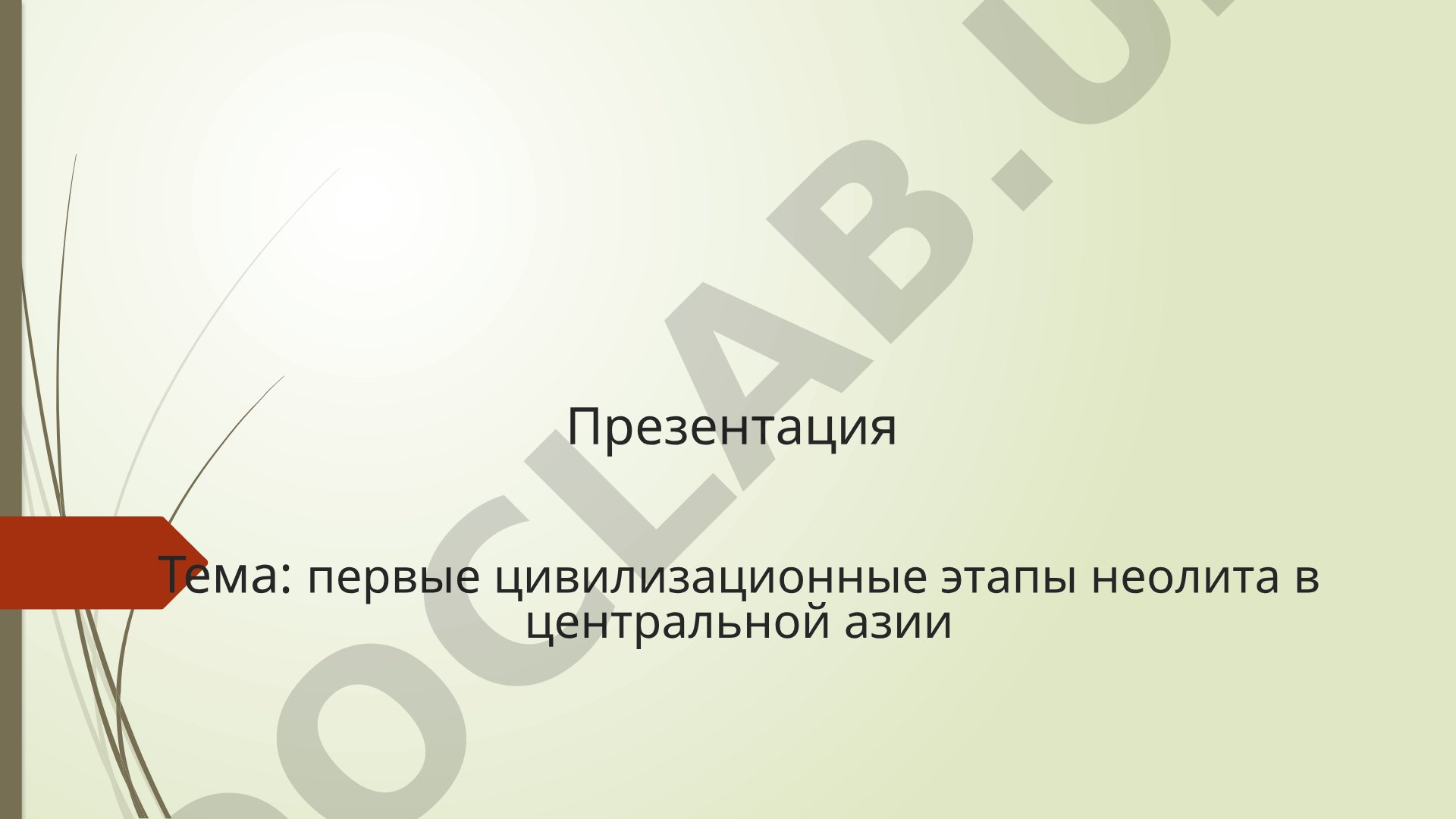 Первые цивилизационные этапы неолита в Центральной Азии