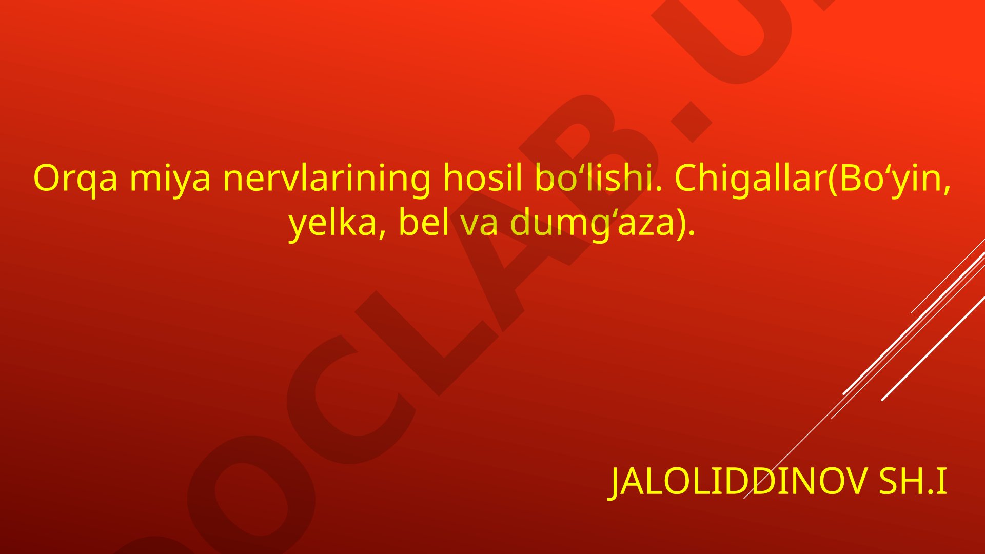 Orqa miya nervlarining hosil bo‘lishi. Chigallar (Bo‘yin, yelka, bel va dumg‘aza)