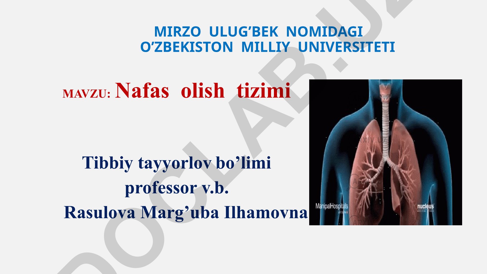 Nafas olish tizimi