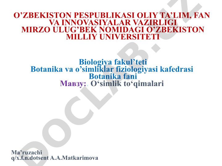 O‘simlik to‘qimalari