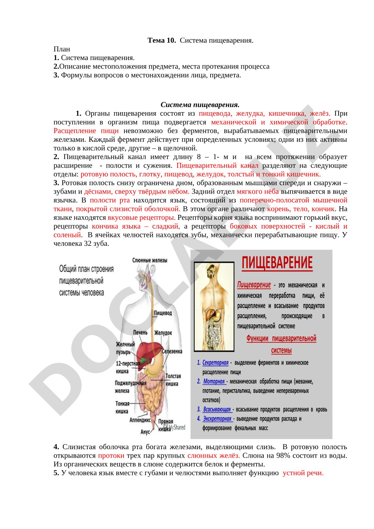 Система пищеварения