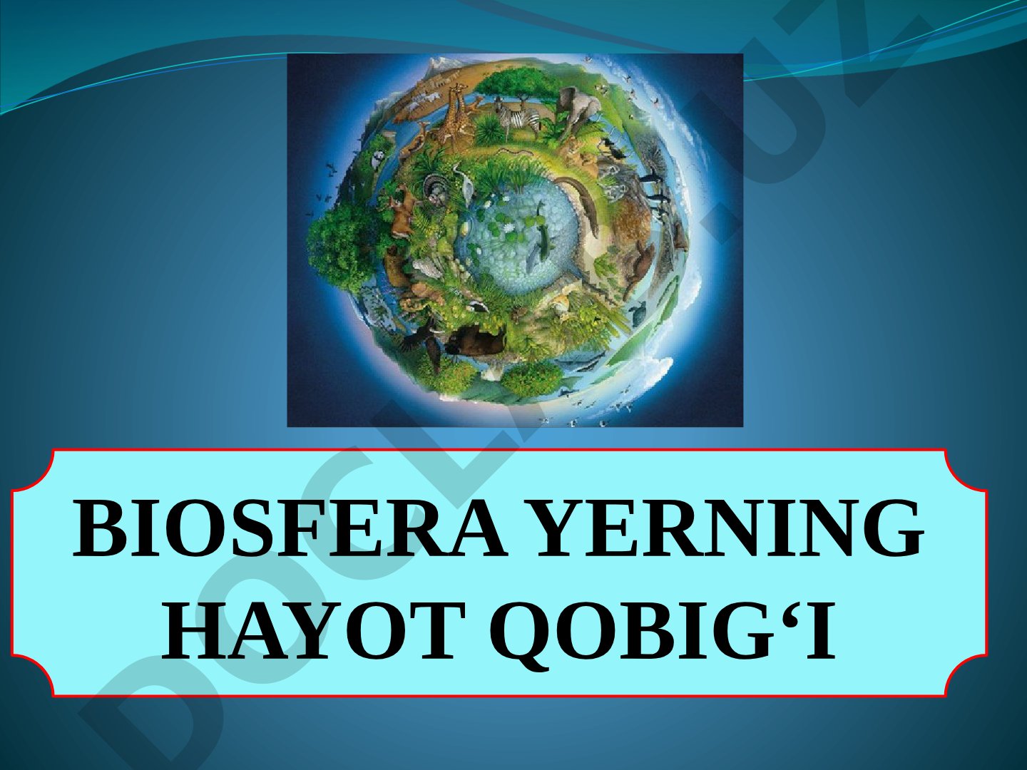 Biosfera Yerning hayot qobig‘i