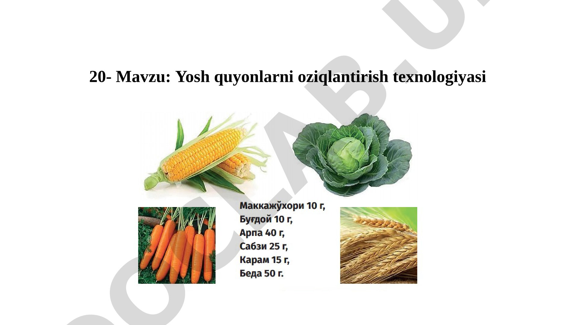 Yosh quyonlarni oziqlantirish texnologiyasi