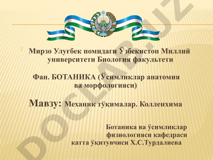Механик тўқималар. Колленхима