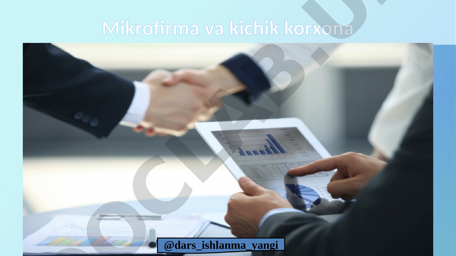 Mikrofirma va kichik korxona